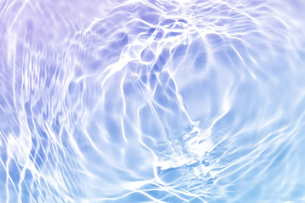 7F0E4779-3529-4A63-B172-CD7F900019C4_1_105_c.jpeg