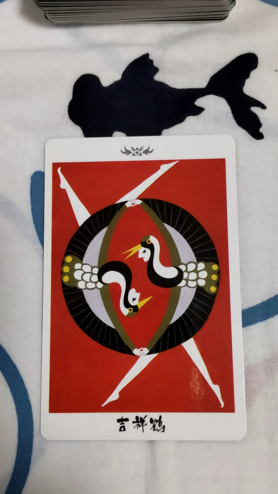 081503.jpg