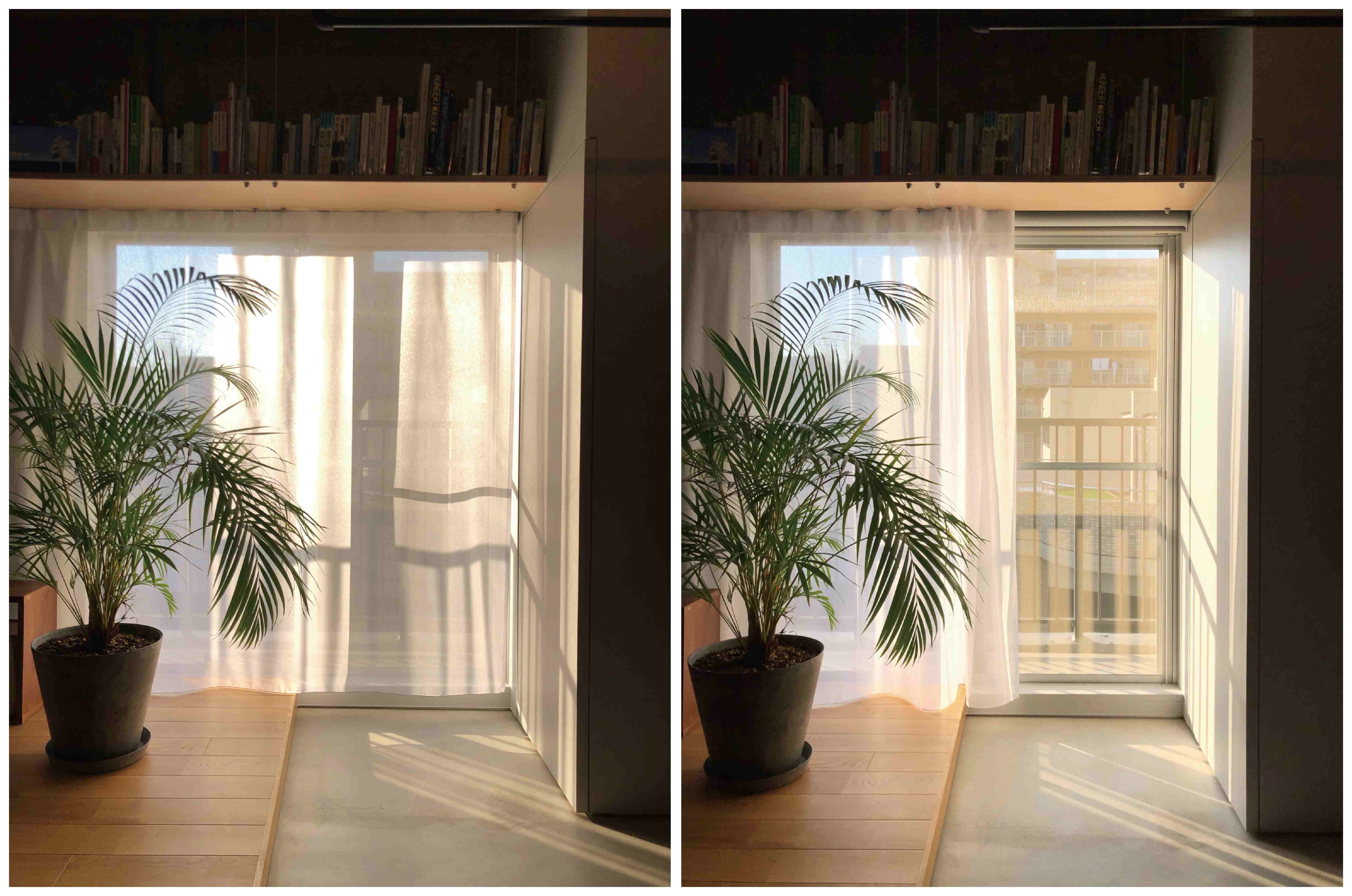 doma-bal_アートボード 1.png