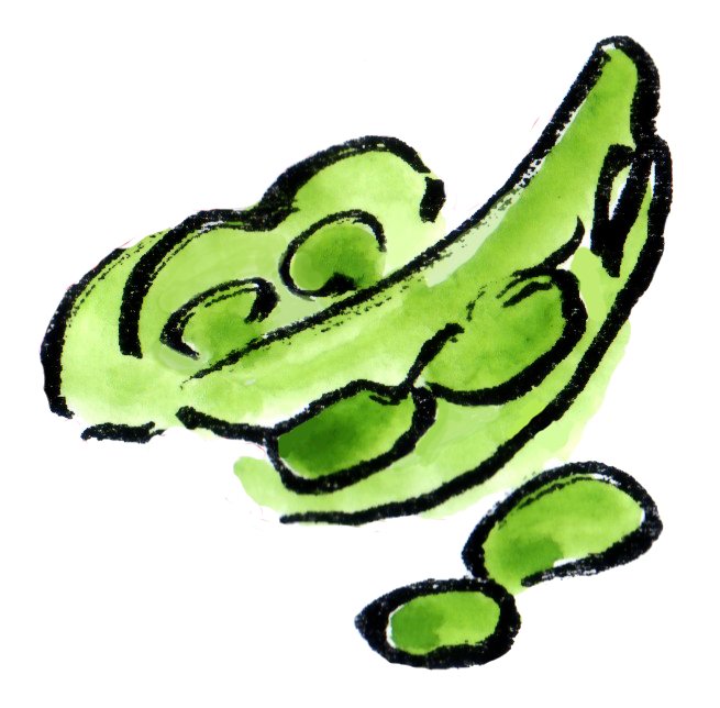 枝豆 (2).png