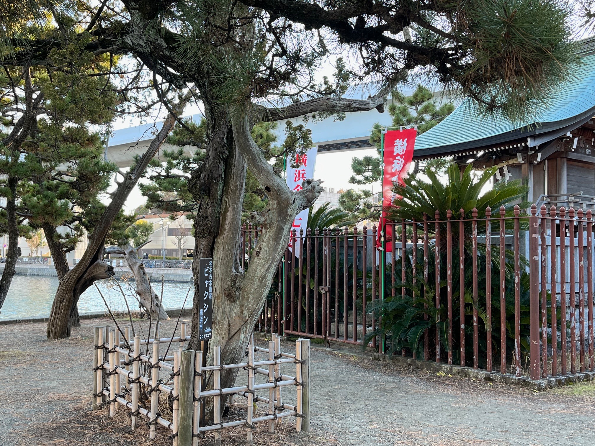 琵琶嶋神社（横浜）.jpg
