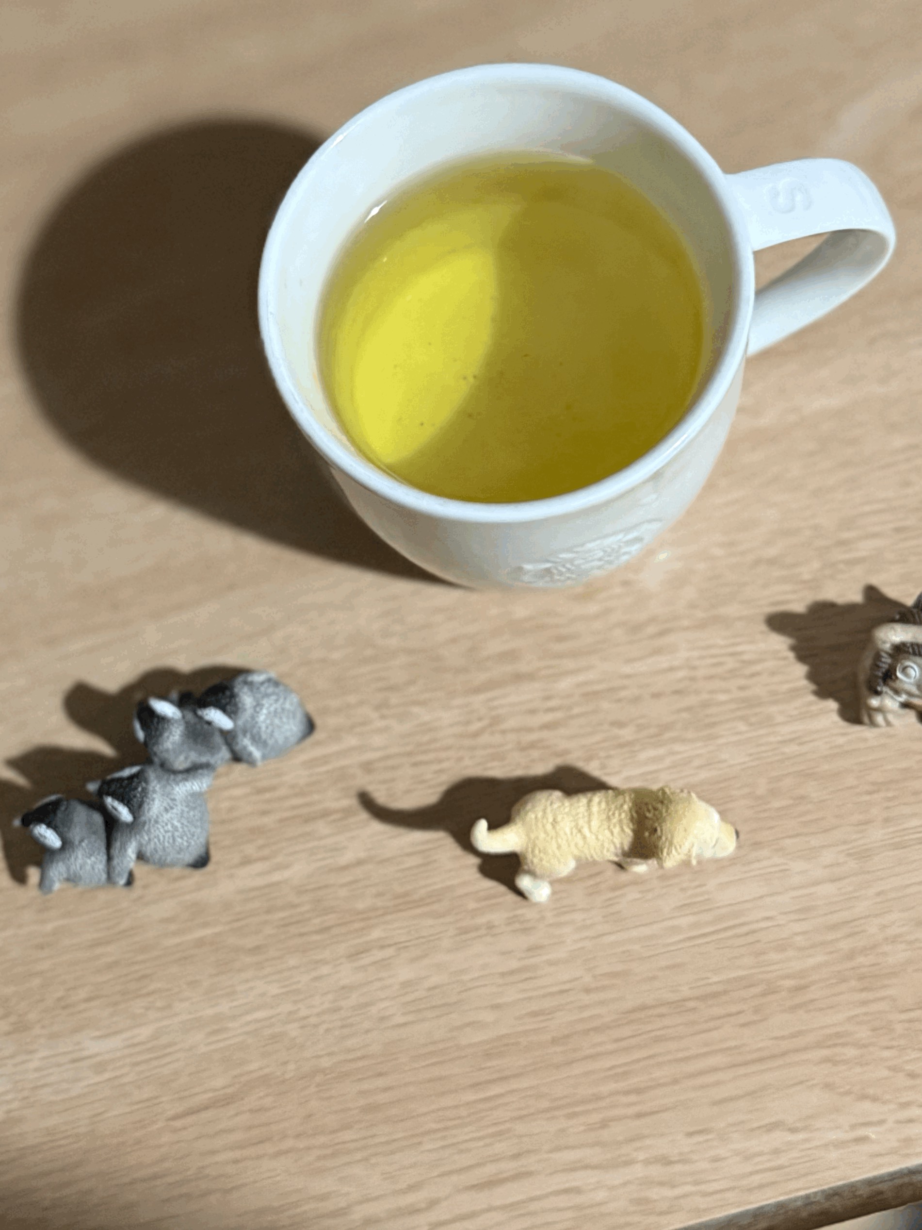 tempImageoyn2g9.gif