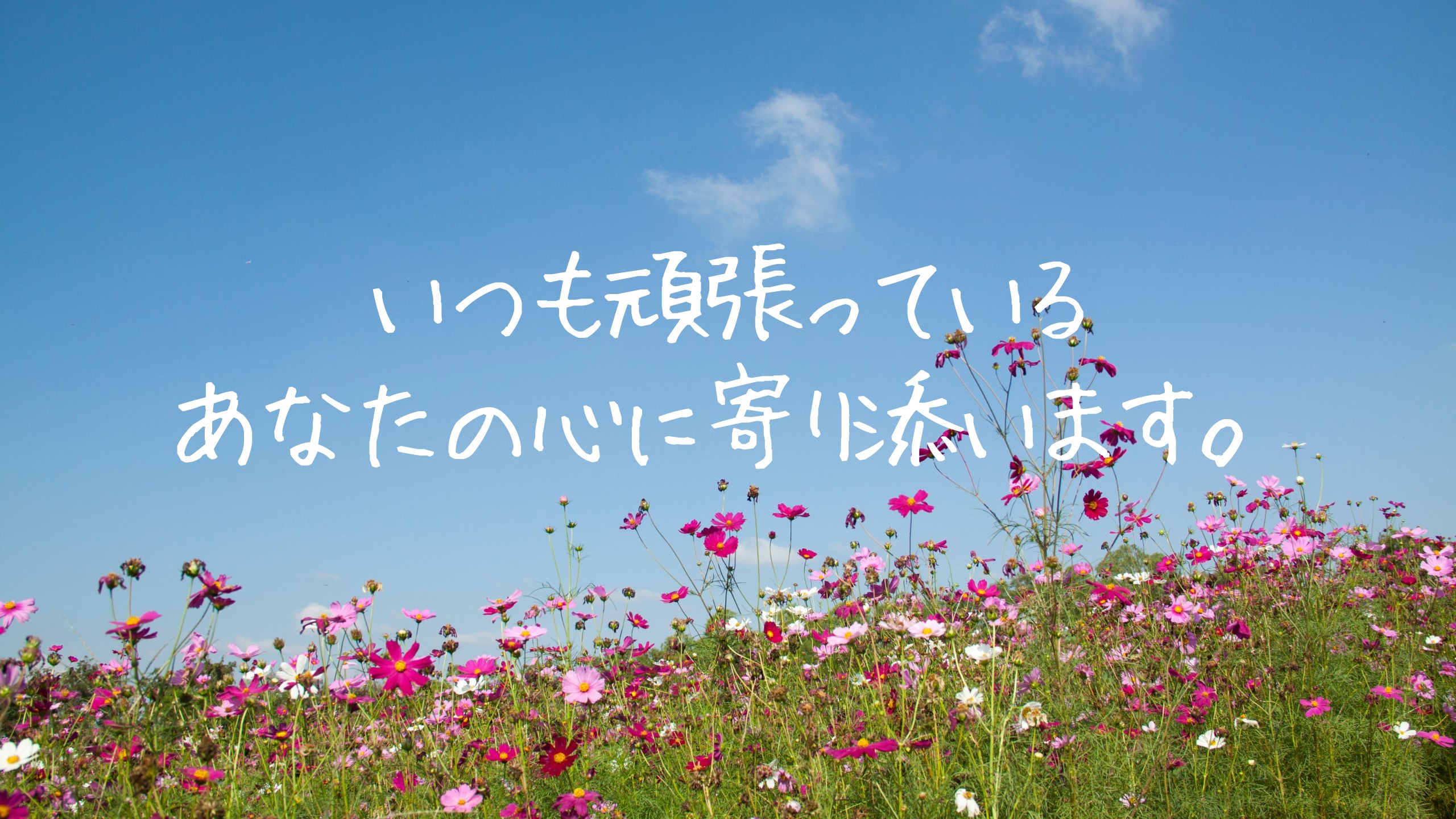 ココナラりさこさん.png