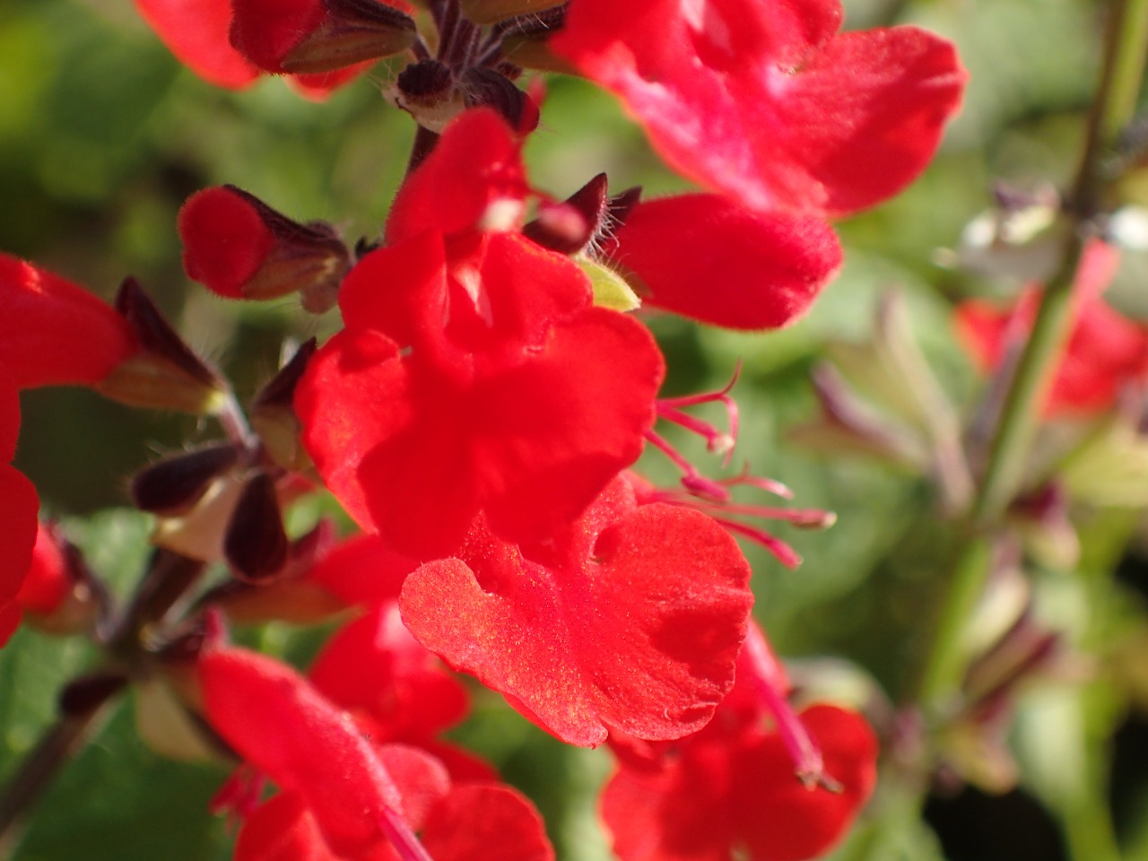PB160837.JPG