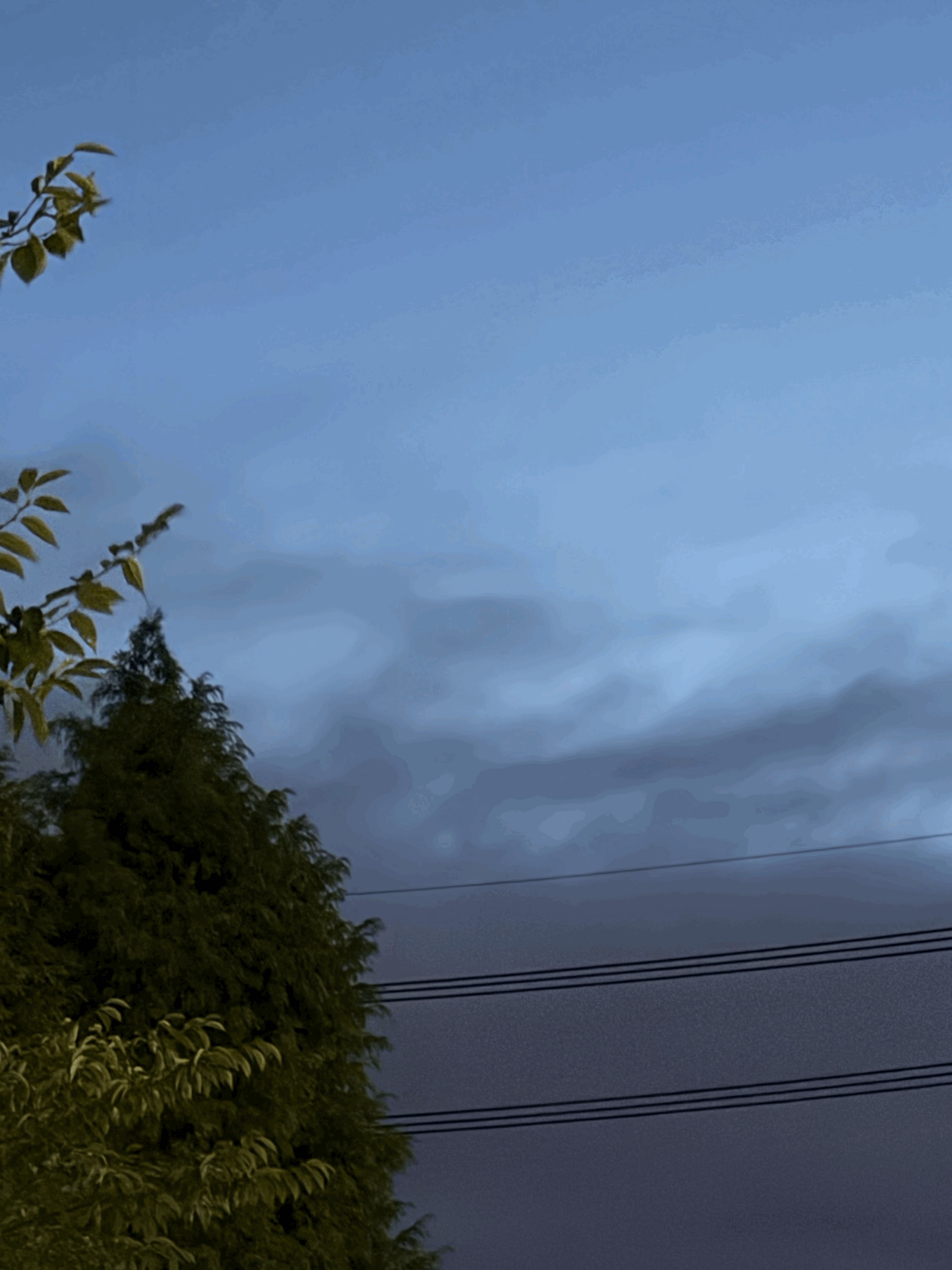 tempImagezvdzsT.gif