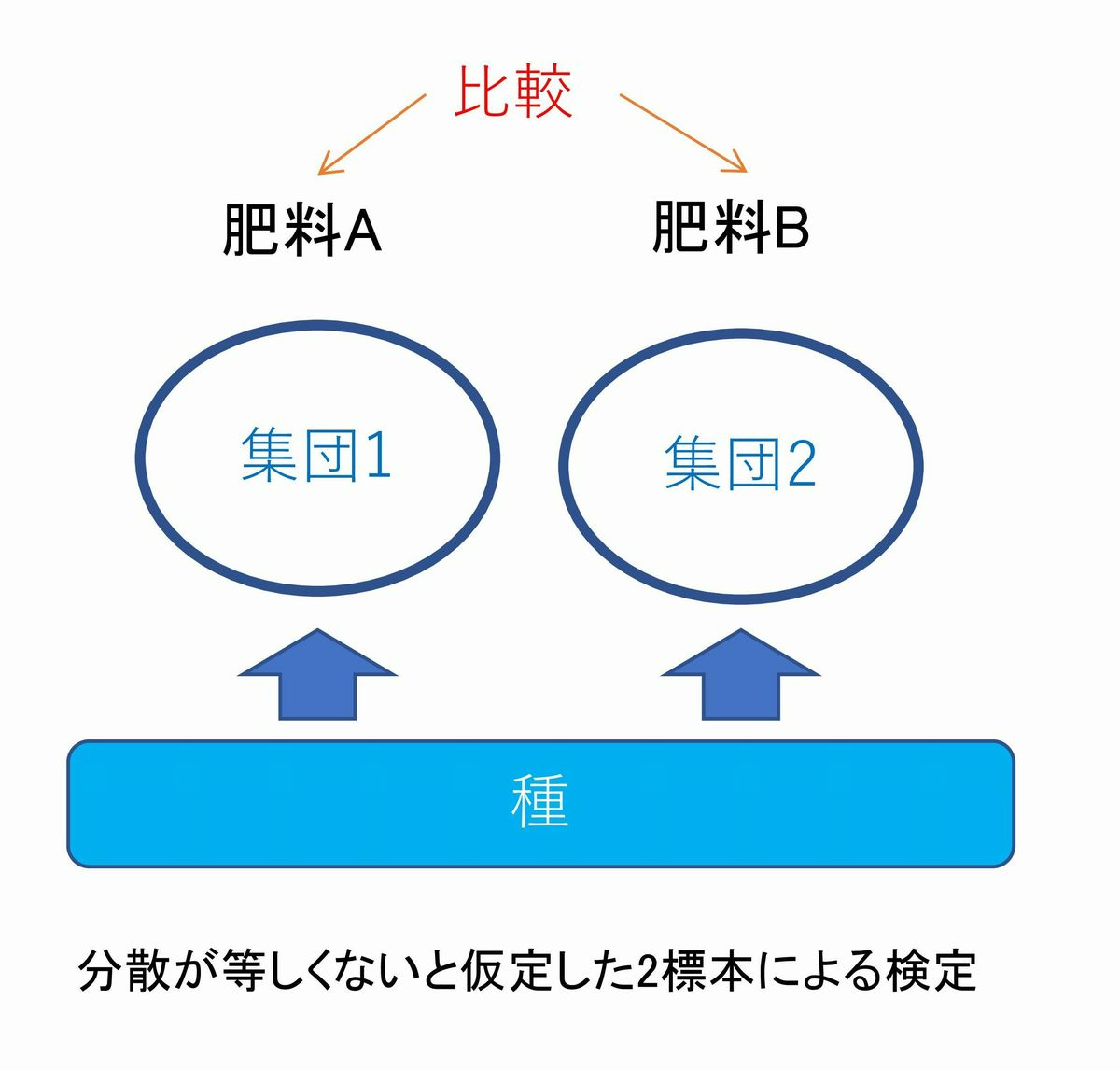 t検定図1.jpg