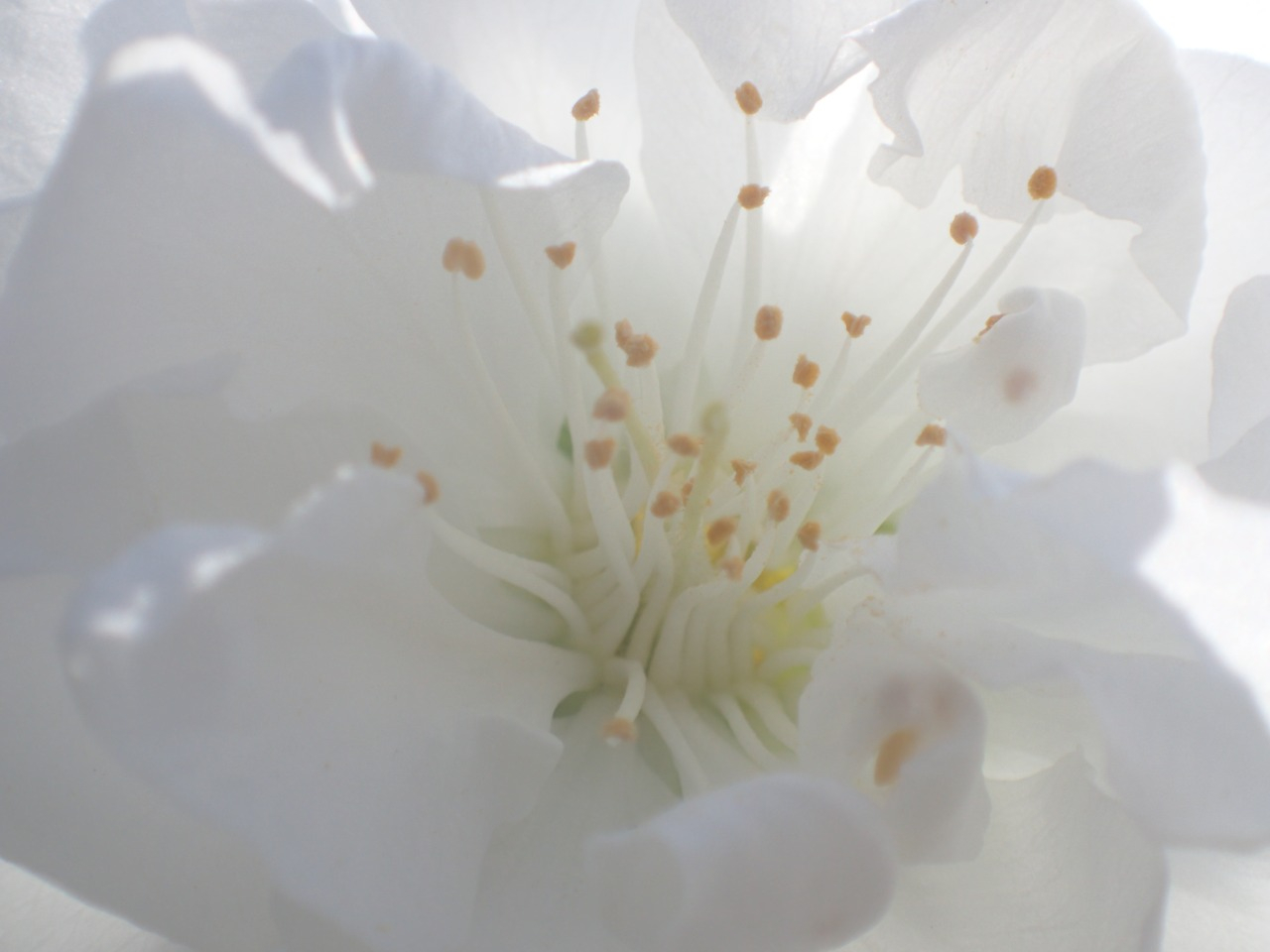 P4050304.JPG