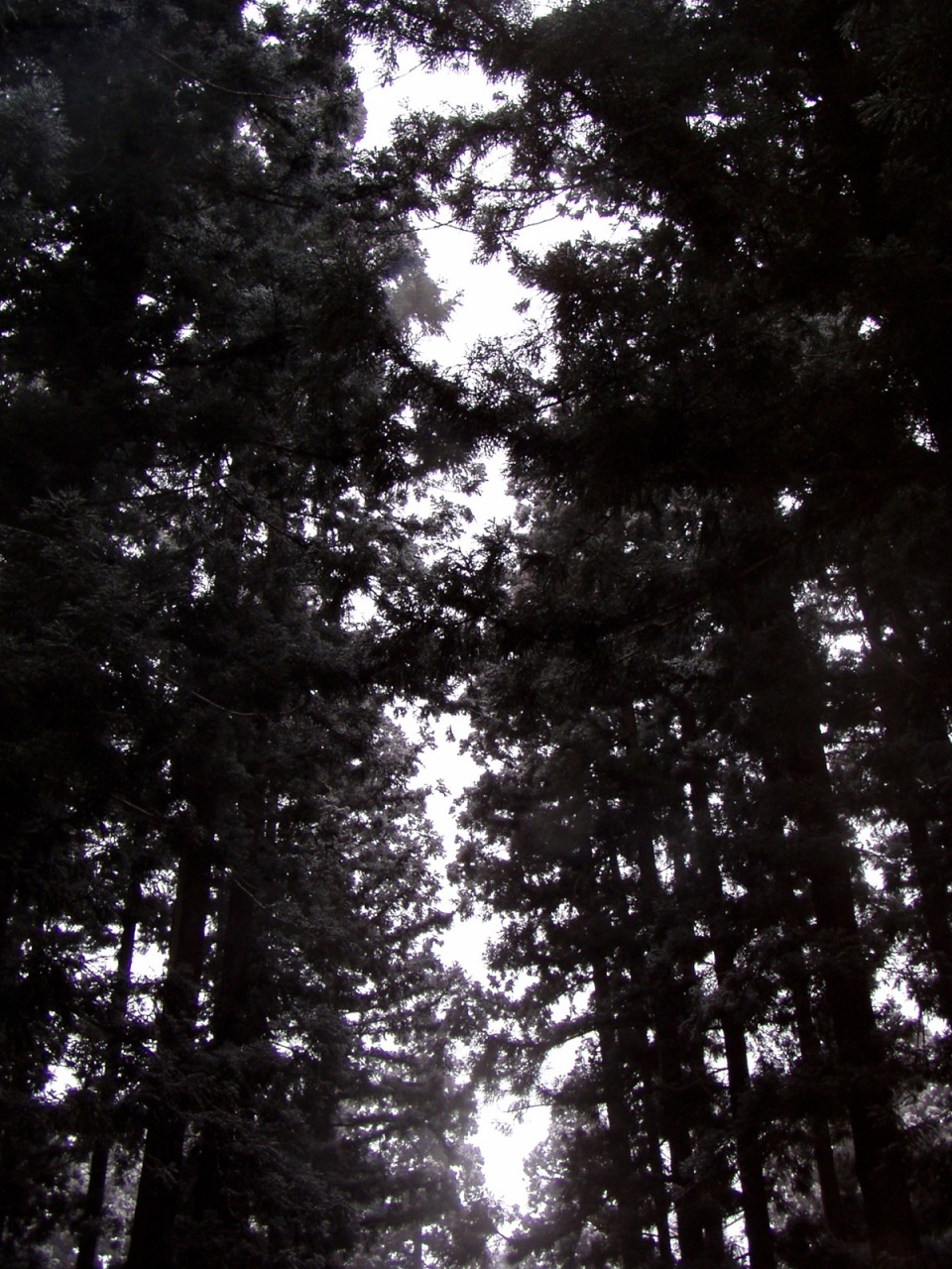 P1010010.JPG