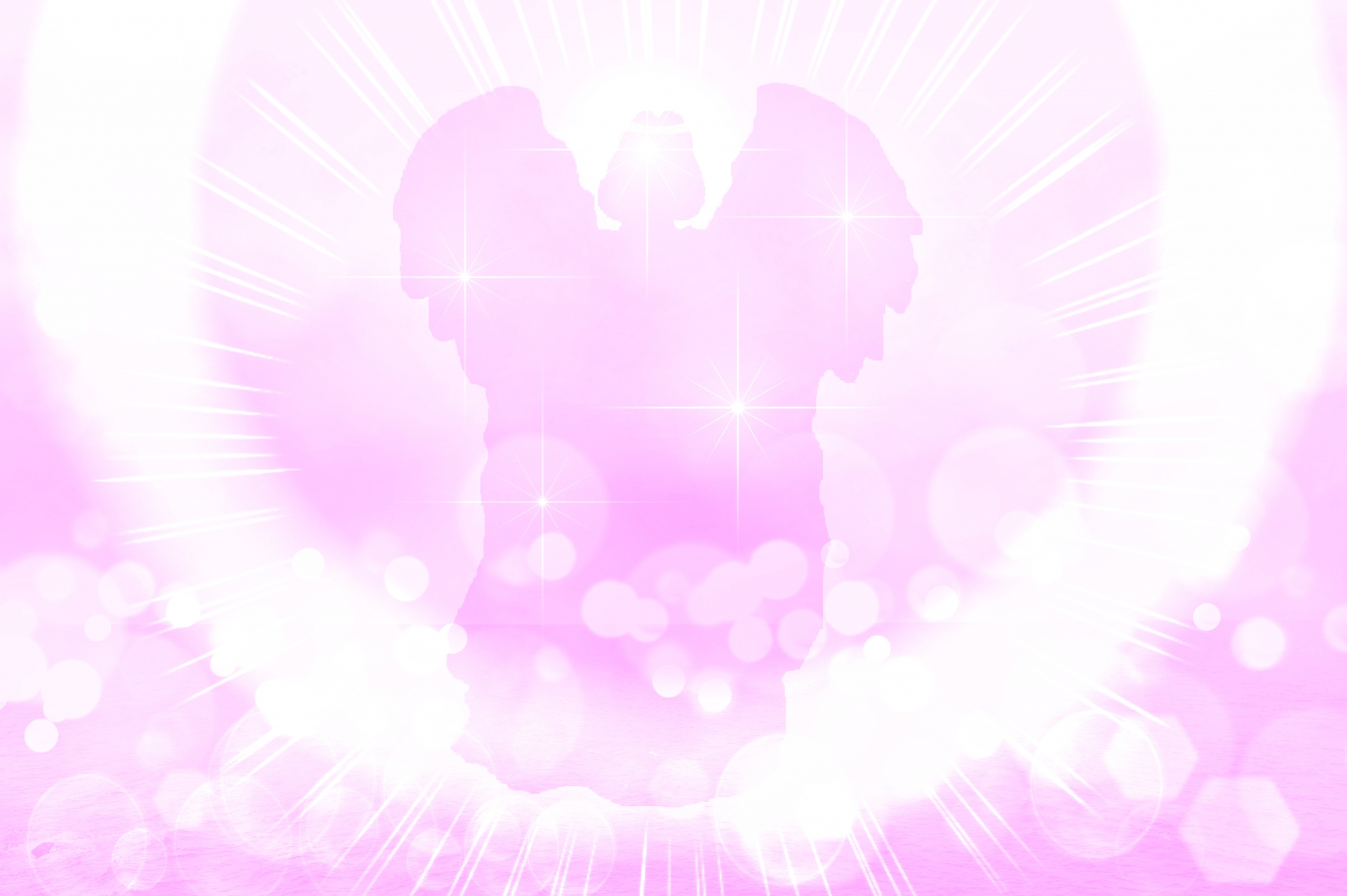 25232048_m.jpg