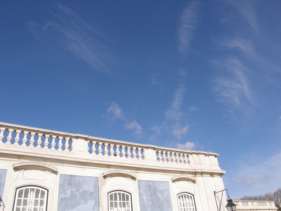 P1261582.JPG