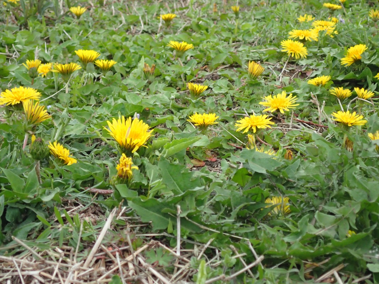 P4051766.JPG
