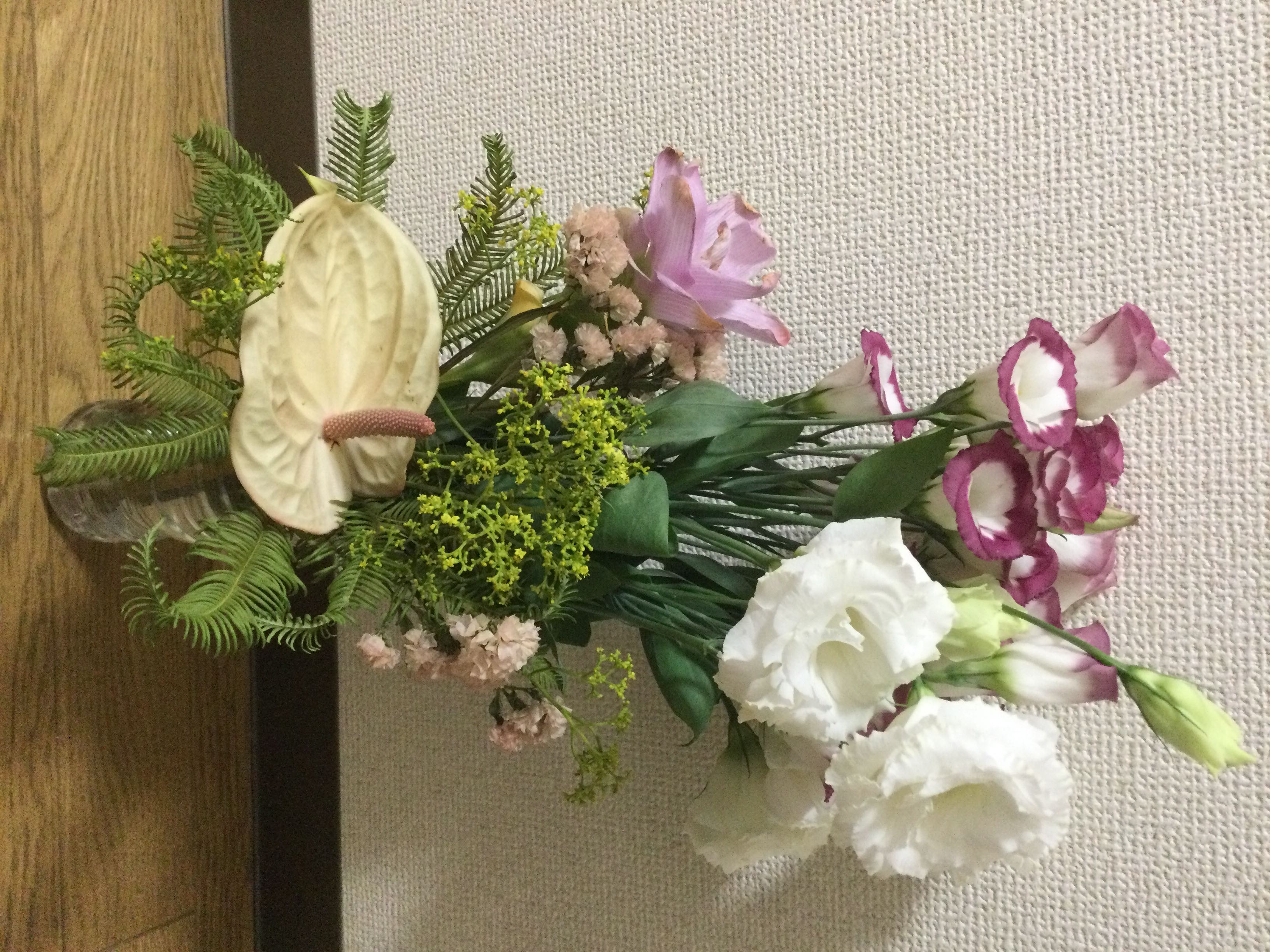 5D4D1EAA-11C0-441B-8938-7C7B574E2A31.jpeg