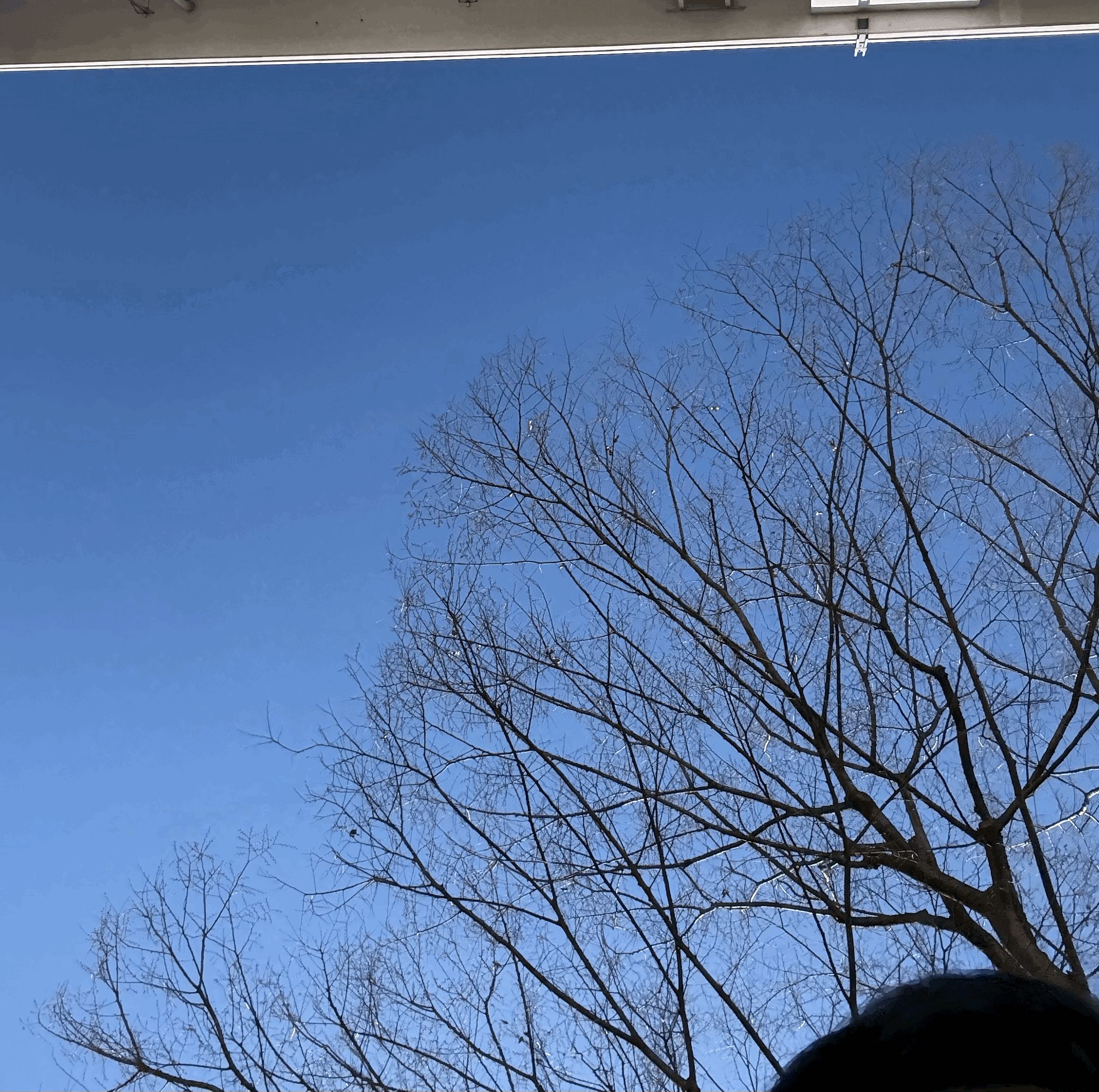tempImagedvP5pH.gif