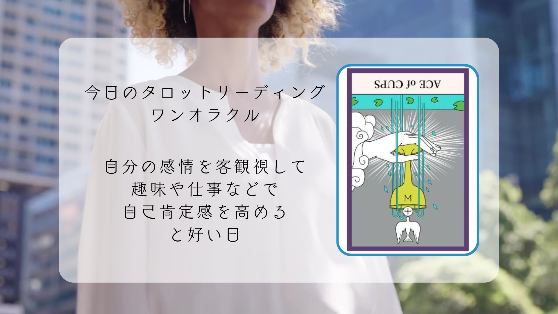 2026.3.9 カップのエース逆.png