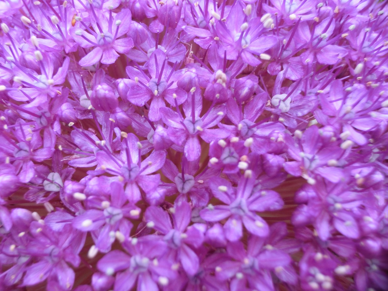 CIMG8874.JPG