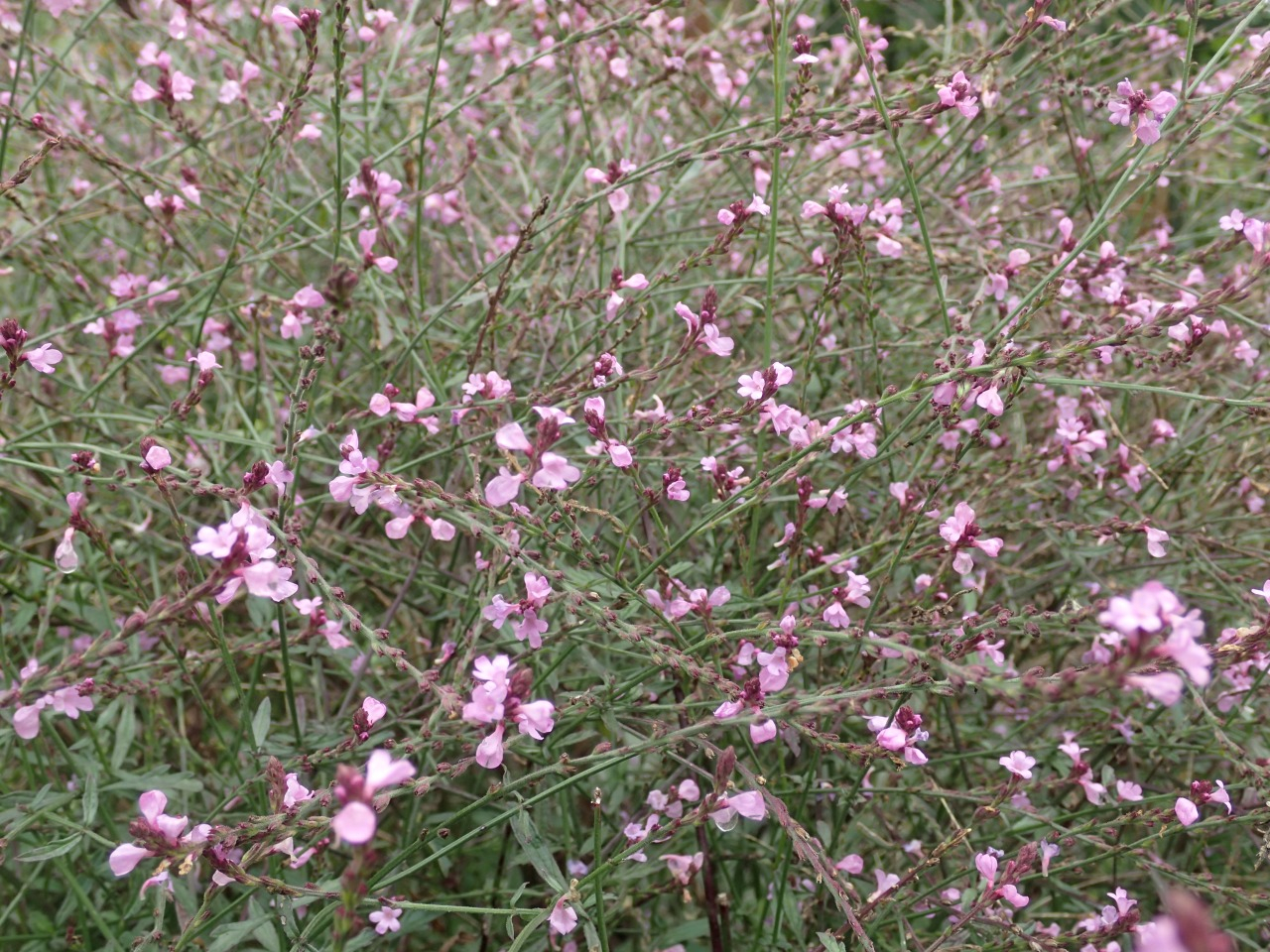 PA120214.JPG