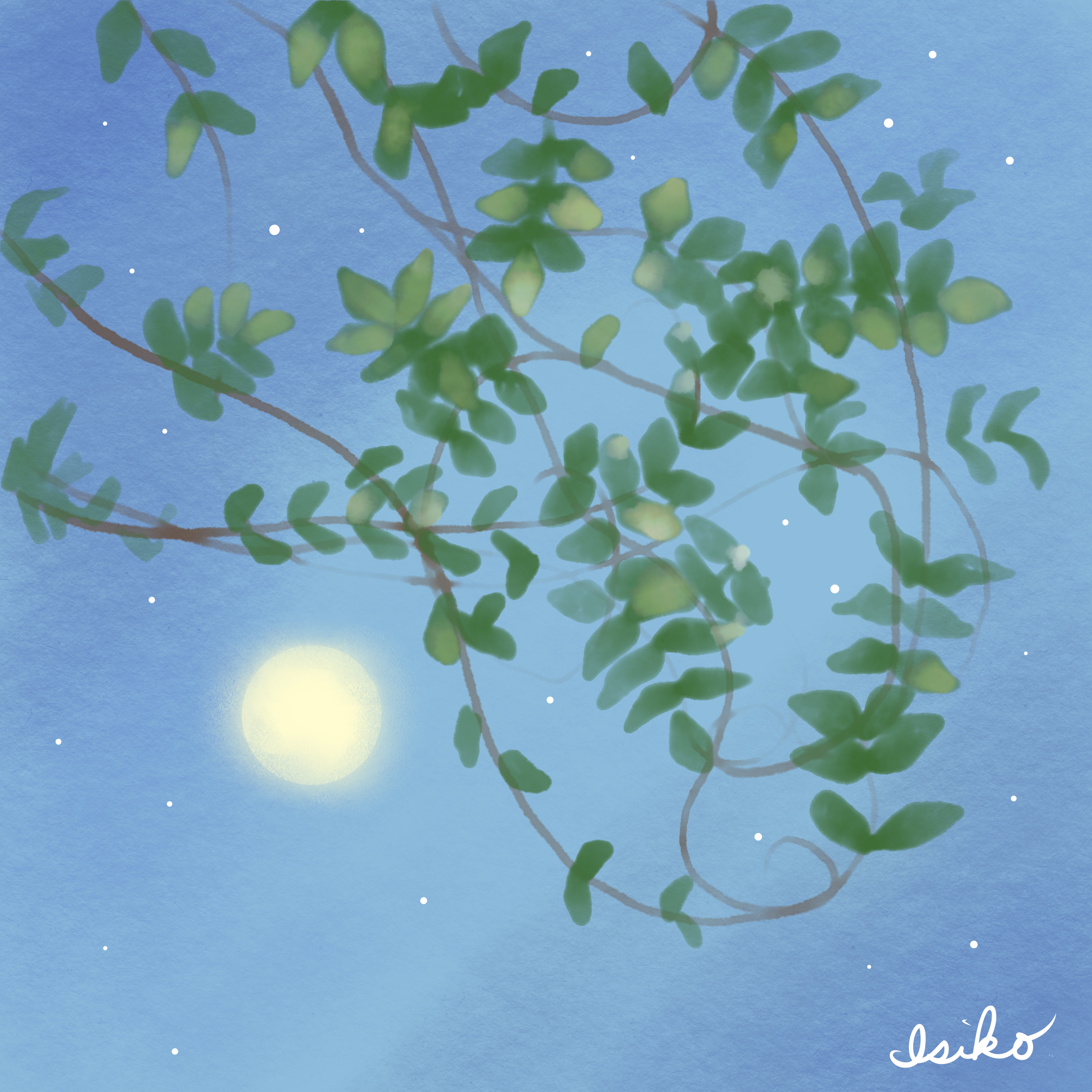 無題 - 2023年12月12日 14.37.08.jpg