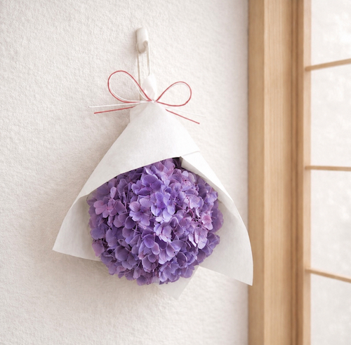 紫陽花.png