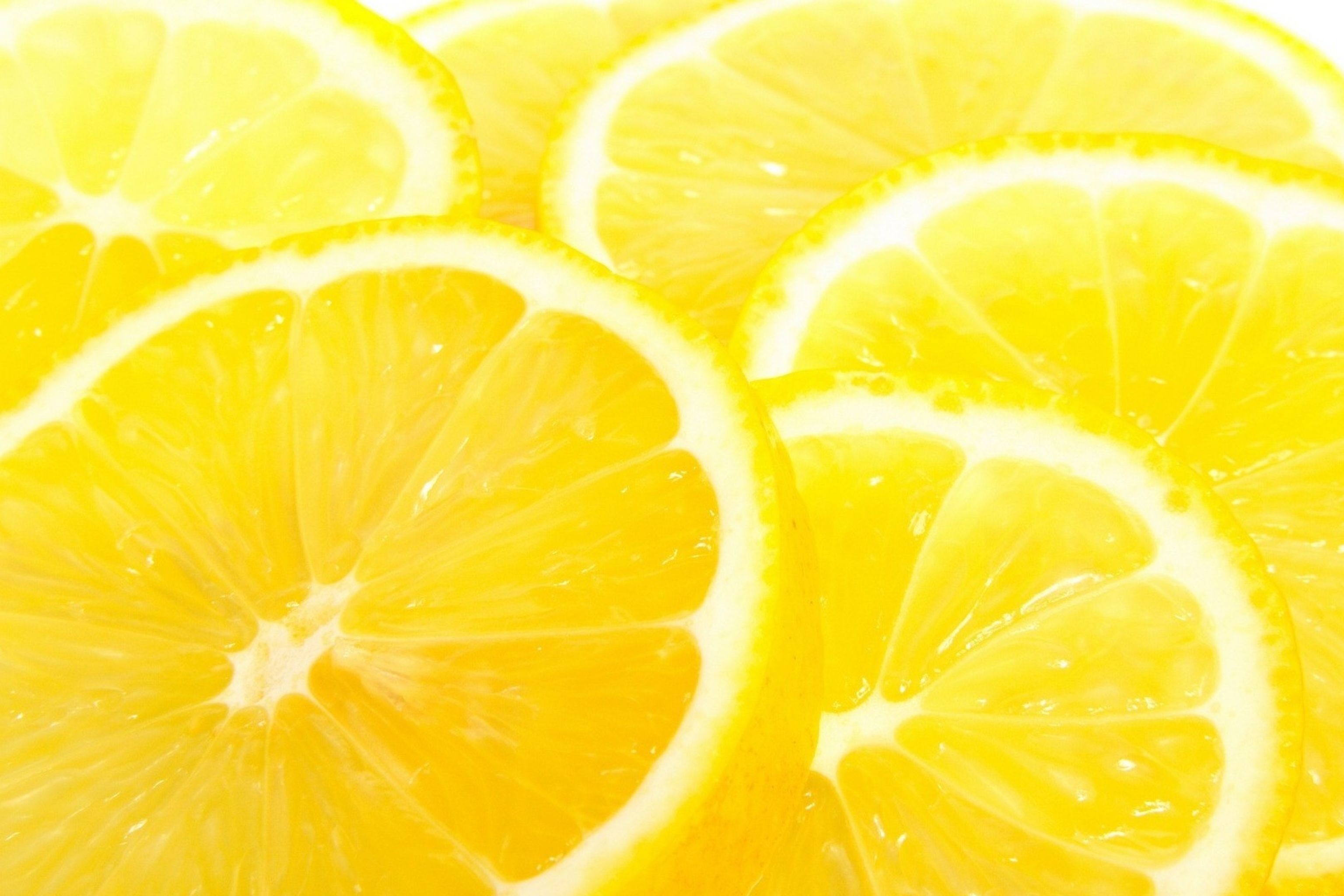 Macro-Lemon-wide.jpg