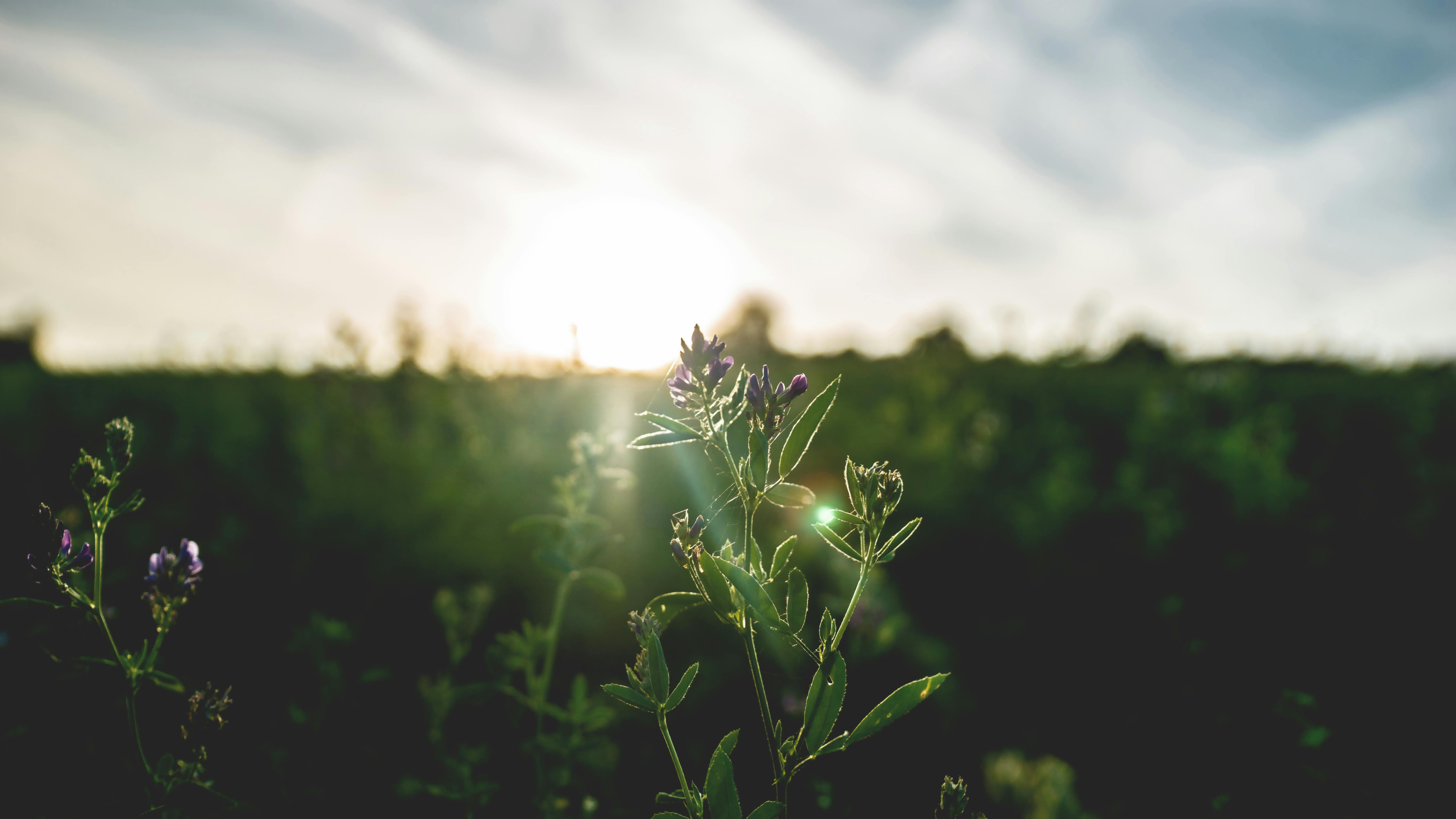 pexels-artur-roman-158558-1167355-2.jpg