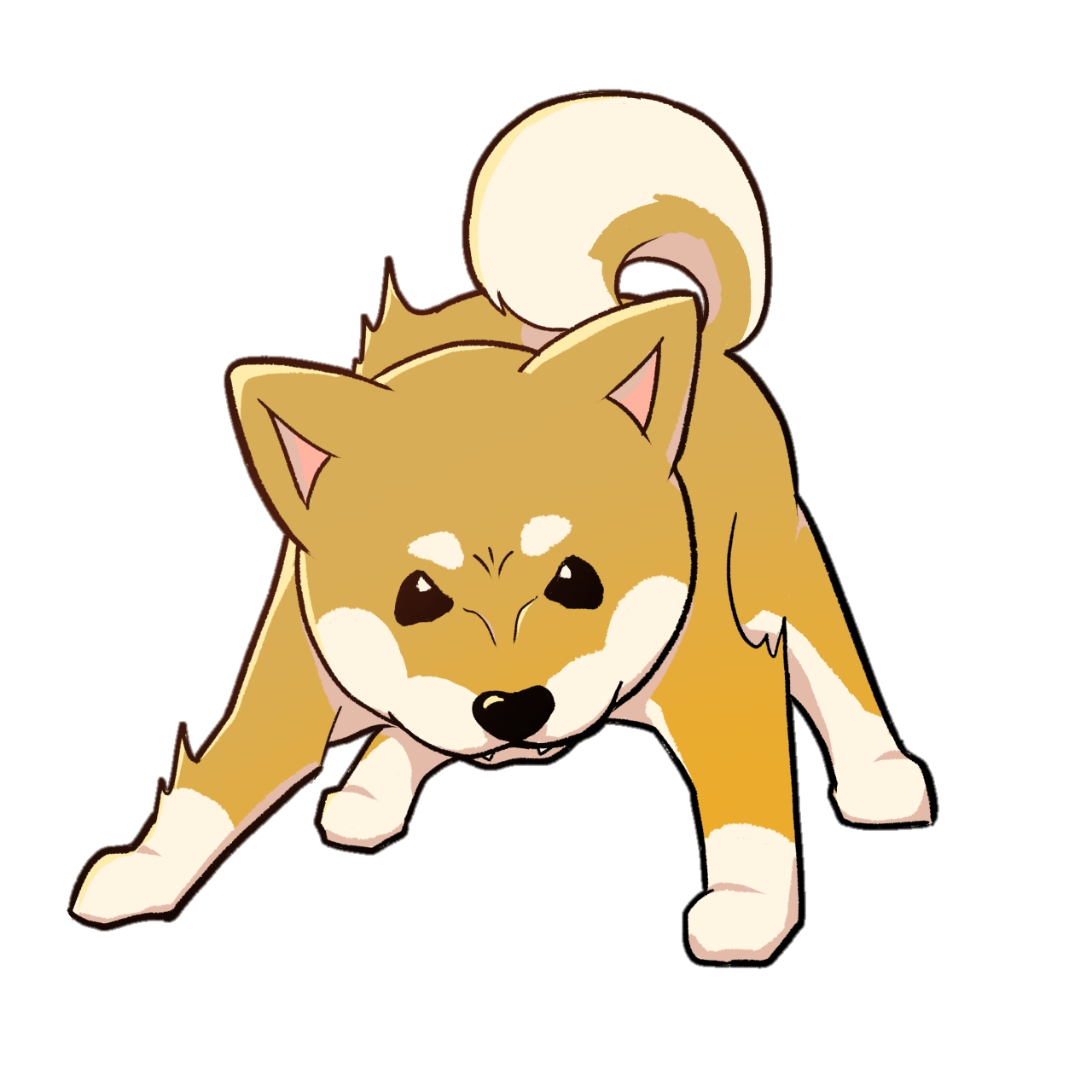 怒っている柴犬.jpg