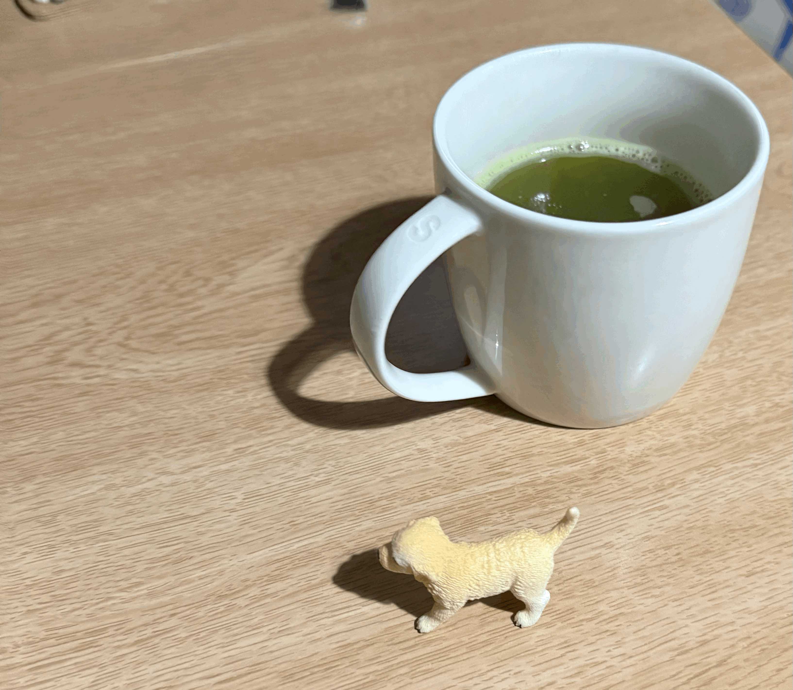 tempImageZMqQdi.gif