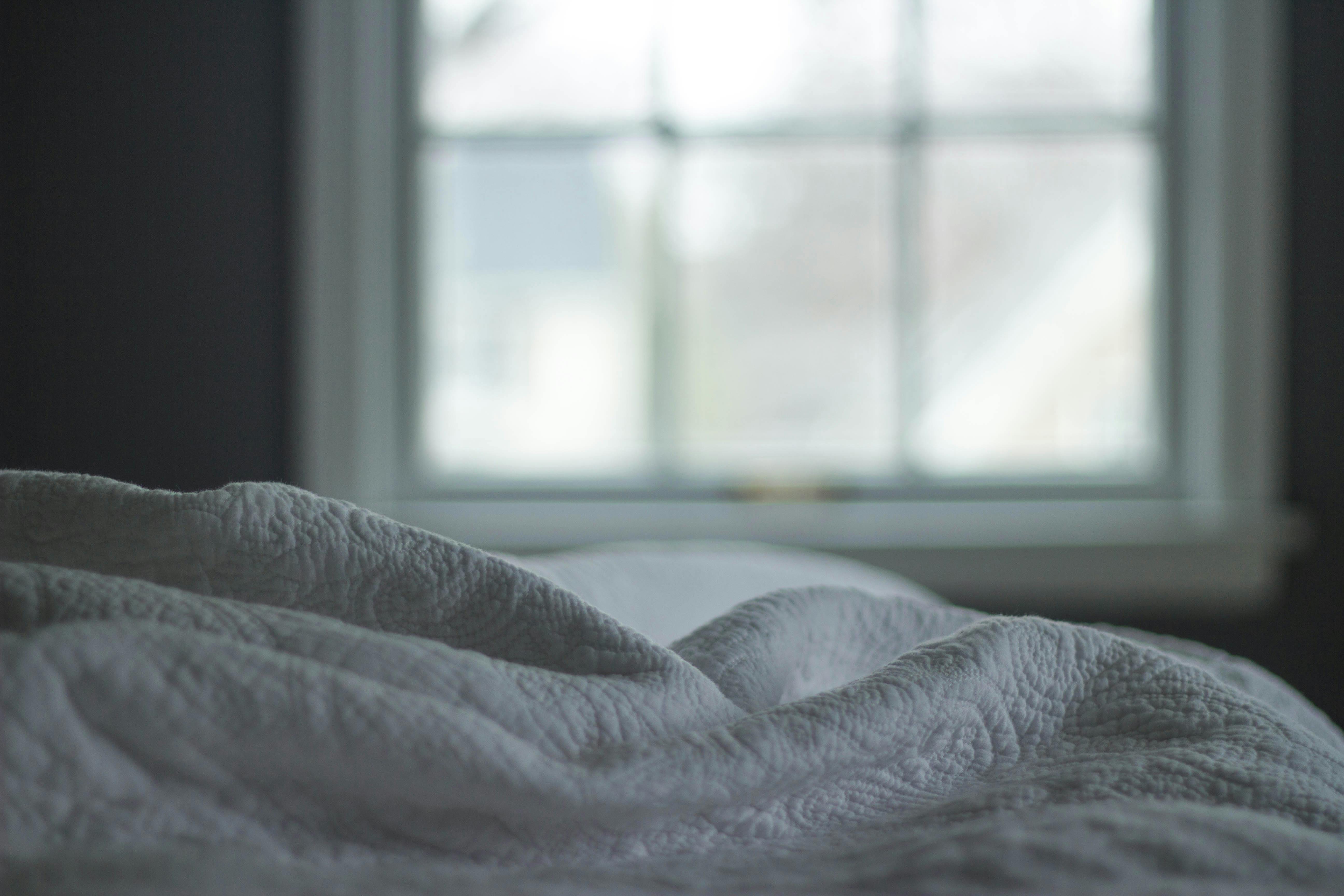 pexels-kristingroth2-57686-3.jpg