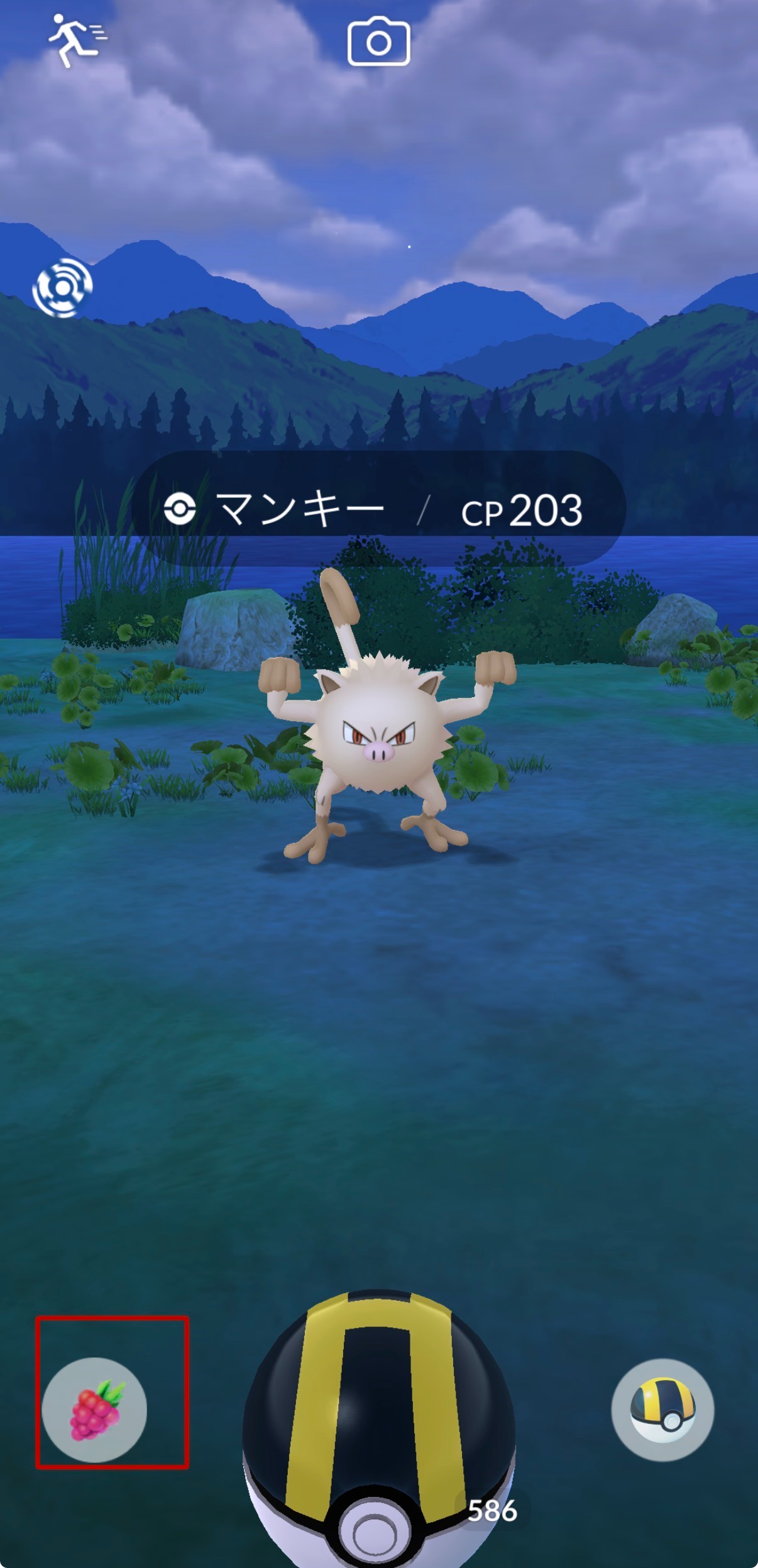 ポケモンGOきのみマーク.jpg