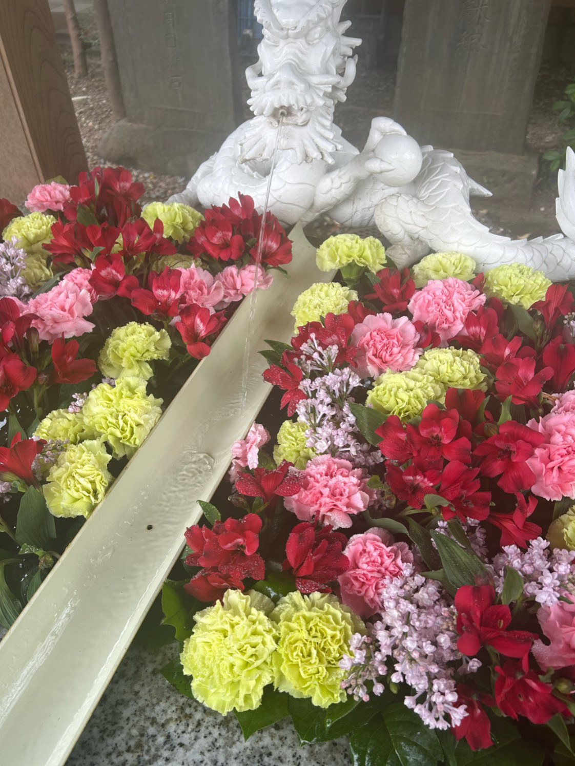 700D043D-B5FD-4103-A82C-725896E48071.jpeg