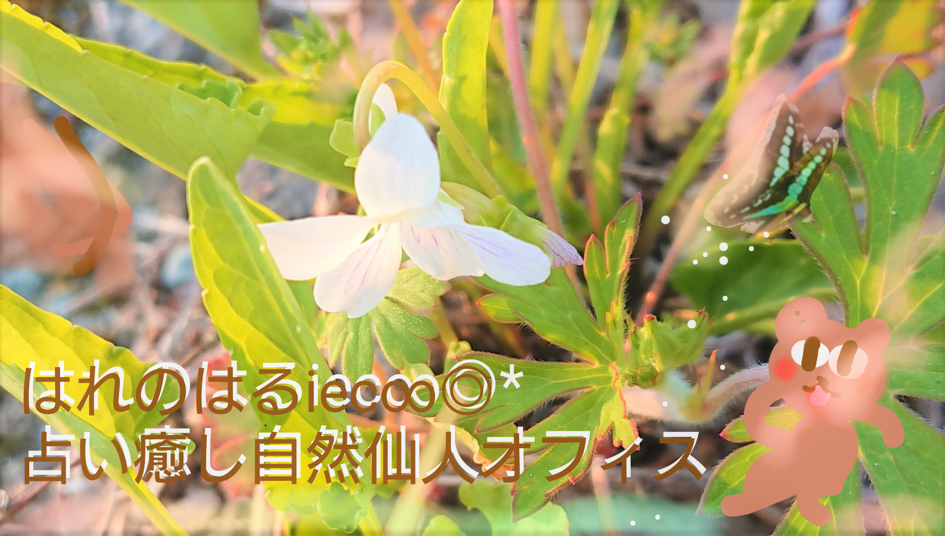 sketch-1649545496348 (2).png