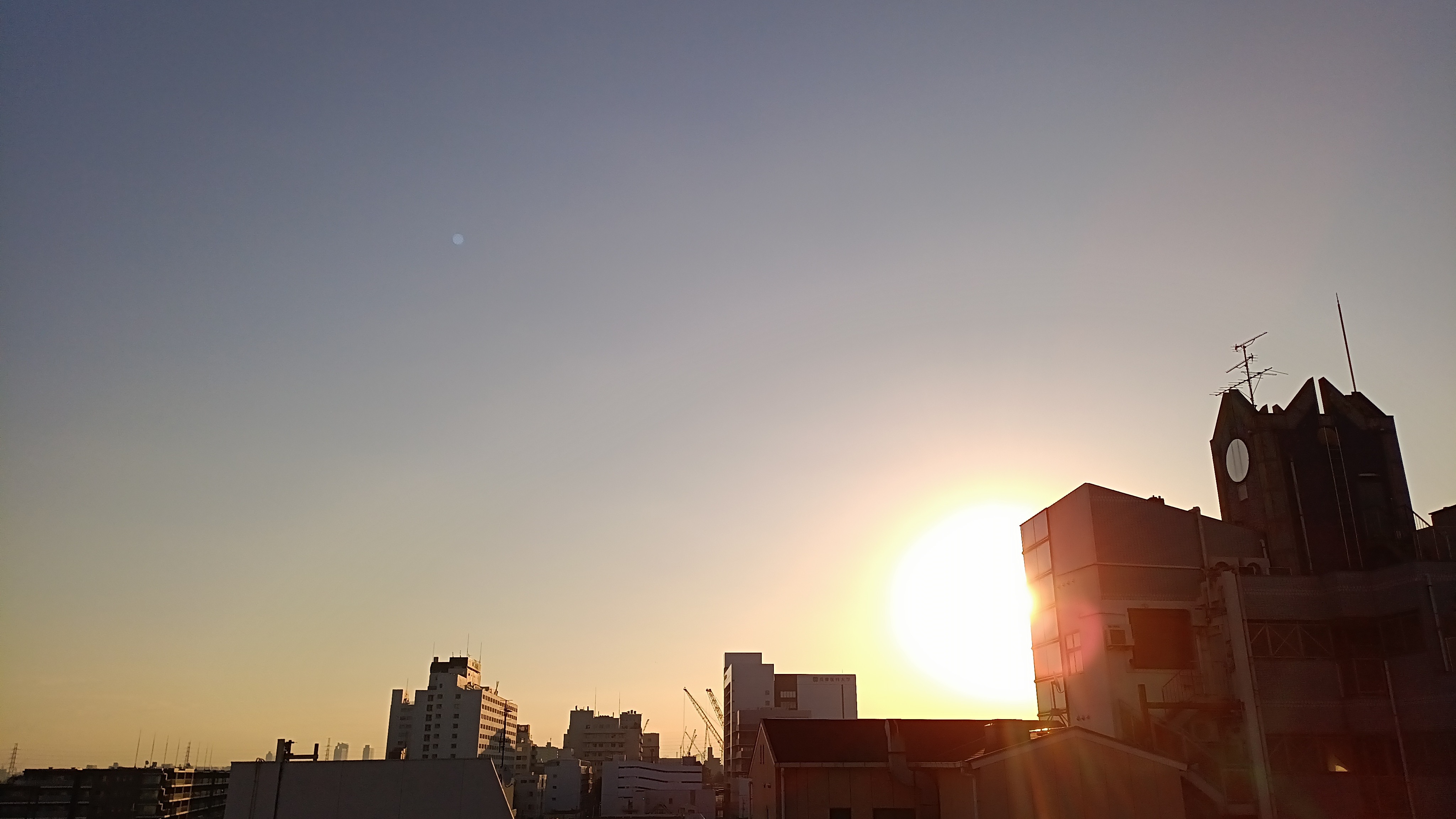 IMG_20241203_073824_501.jpg