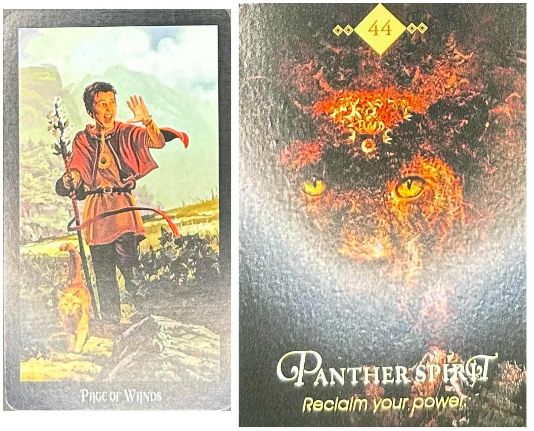 無題51_20250410065044.png