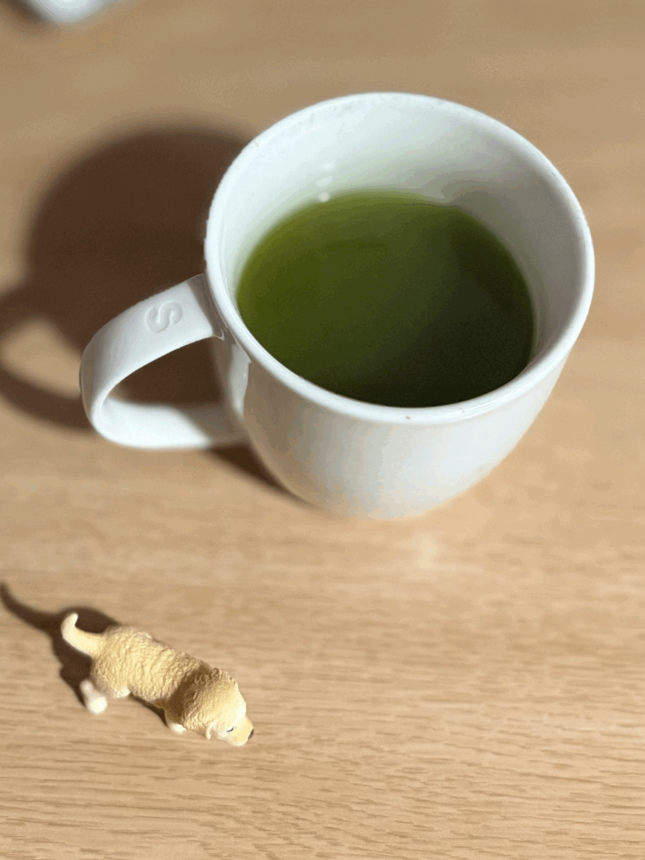 tempImageFqA9B9.gif