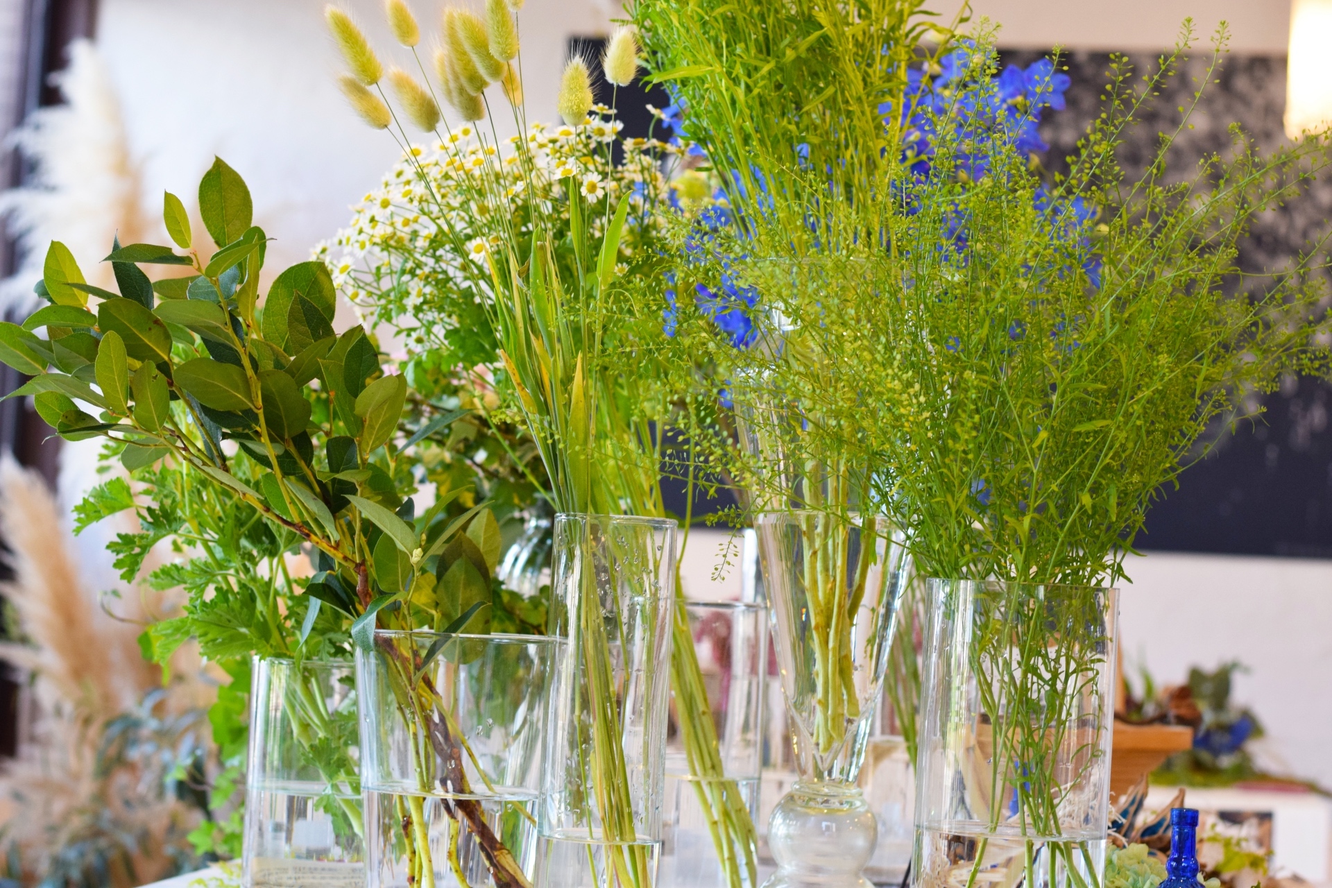 5CDAC027-6C31-456D-88D5-71BEBE11F061.jpeg