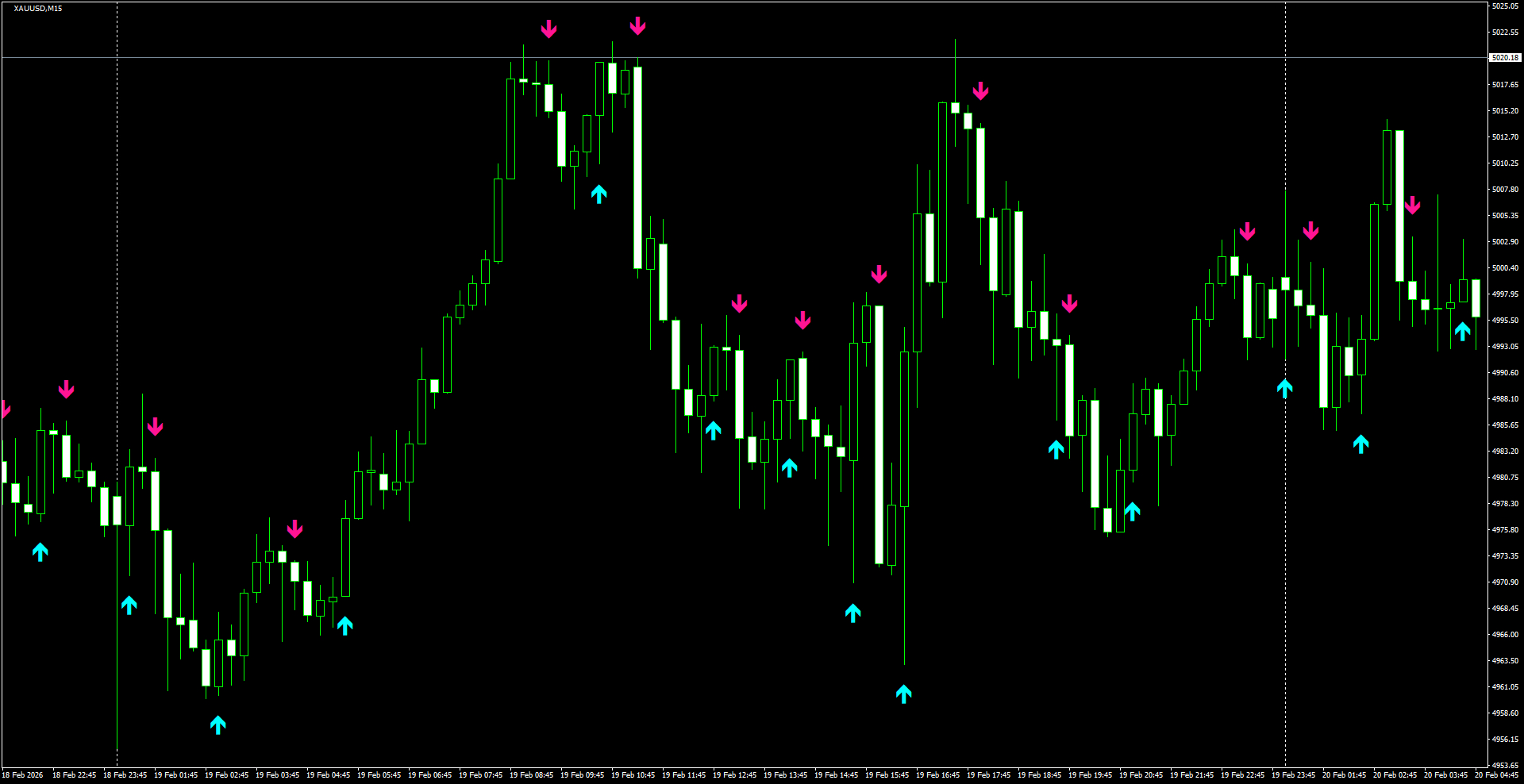 XAUUSD(M15)_2026.02.20_205348.png