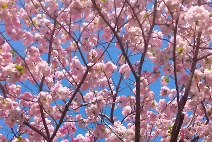 Screen Shot 2025-04-05 at 18.10.50.png