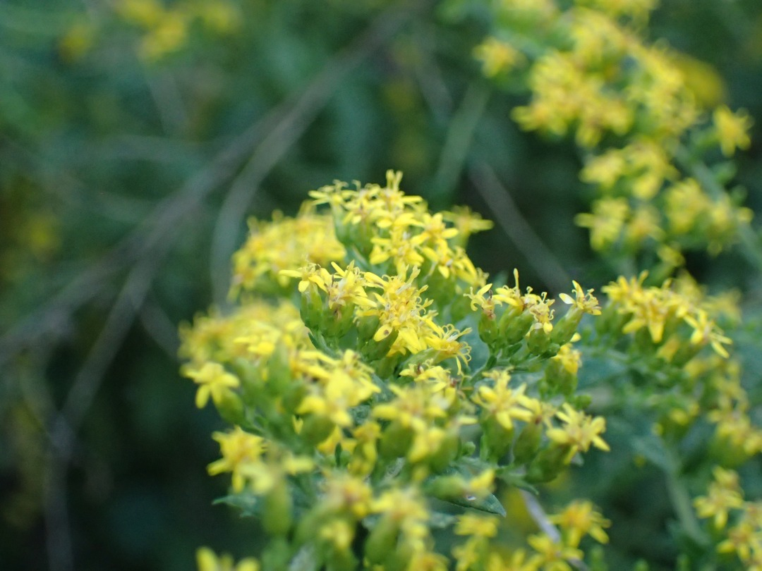 PA101643.JPG