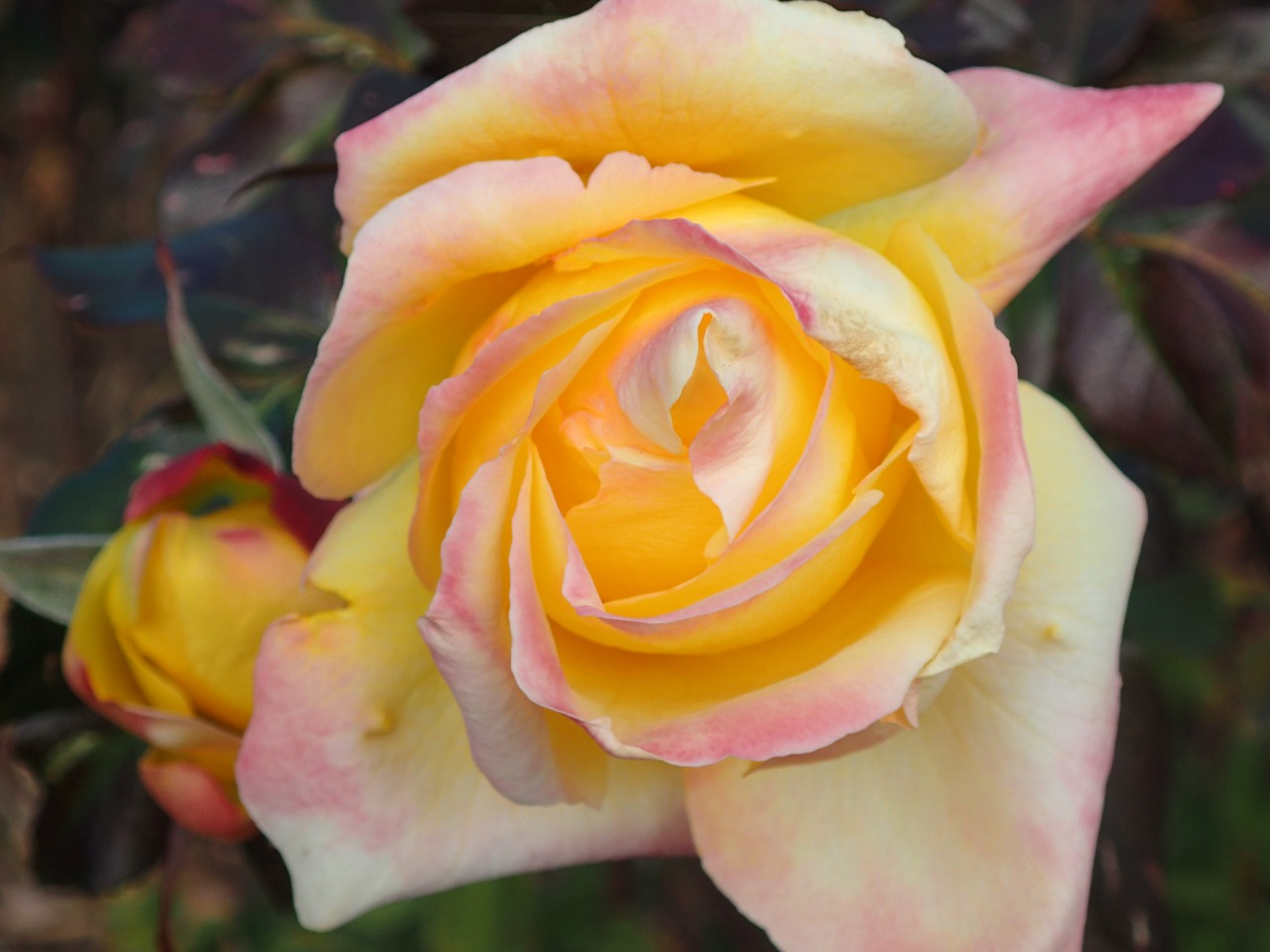 PC220634.JPG