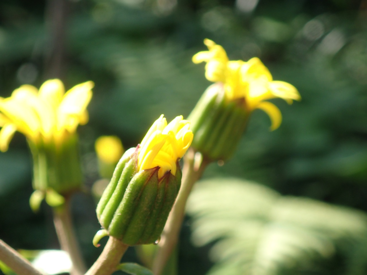 PB160630.JPG