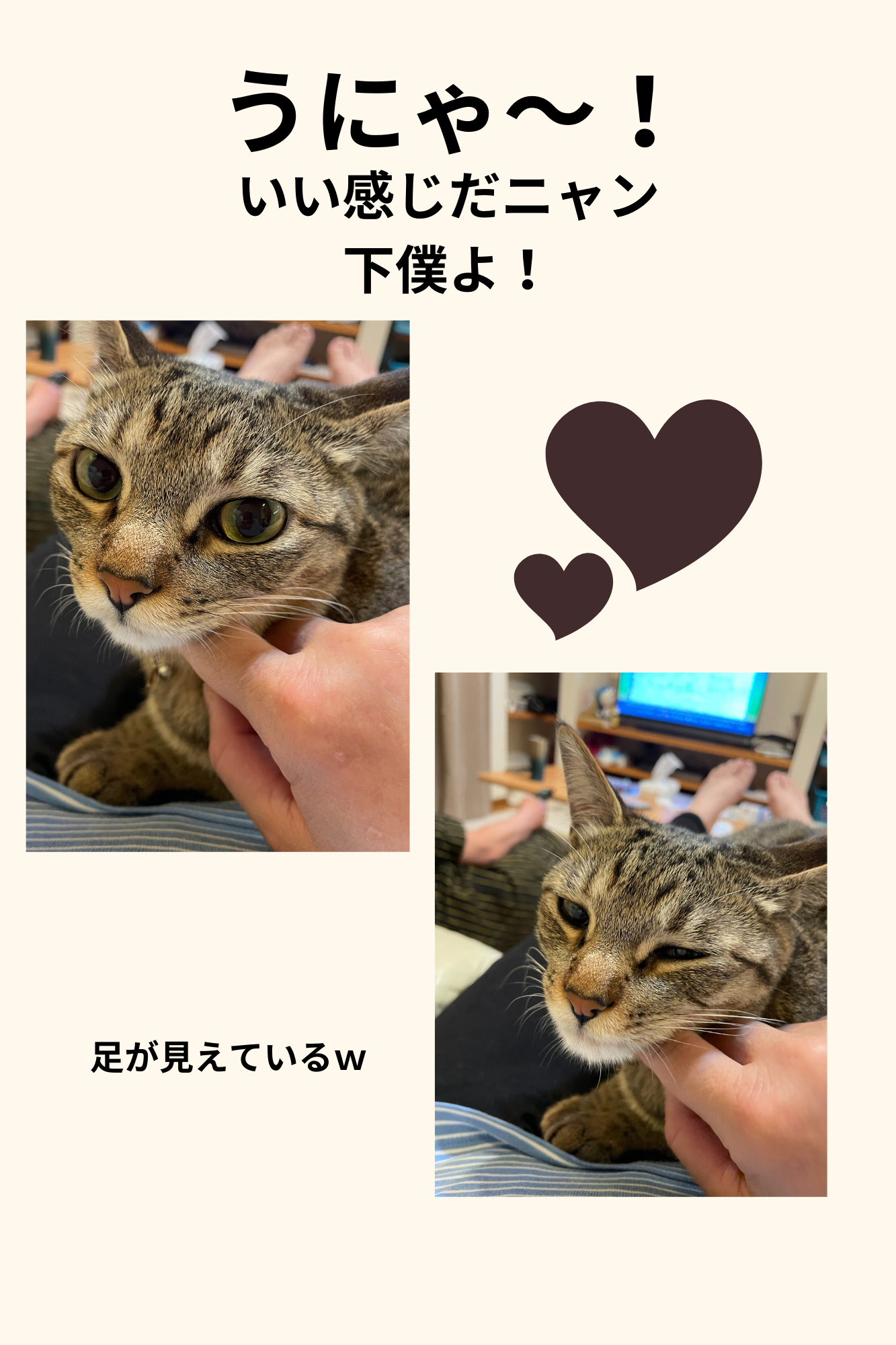 くちゃい！ (2).png