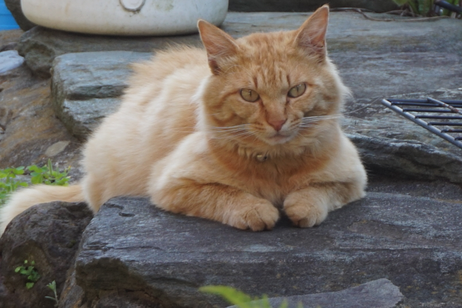 DSC09171.JPG