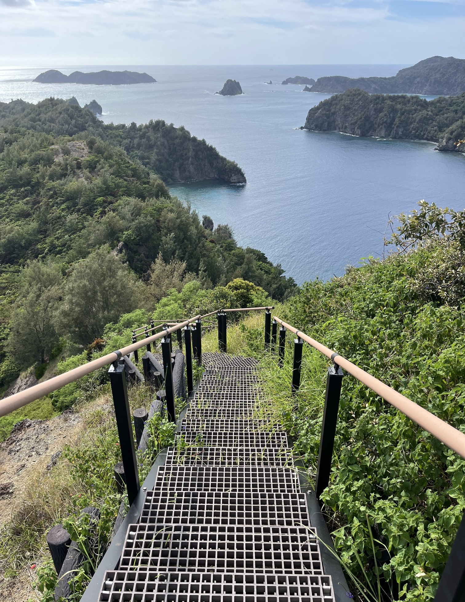 電信山遊歩道（山頂尾根）.jpeg