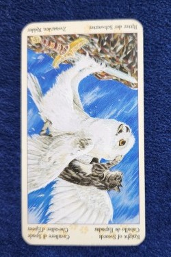 20230717_095725 (002).jpg