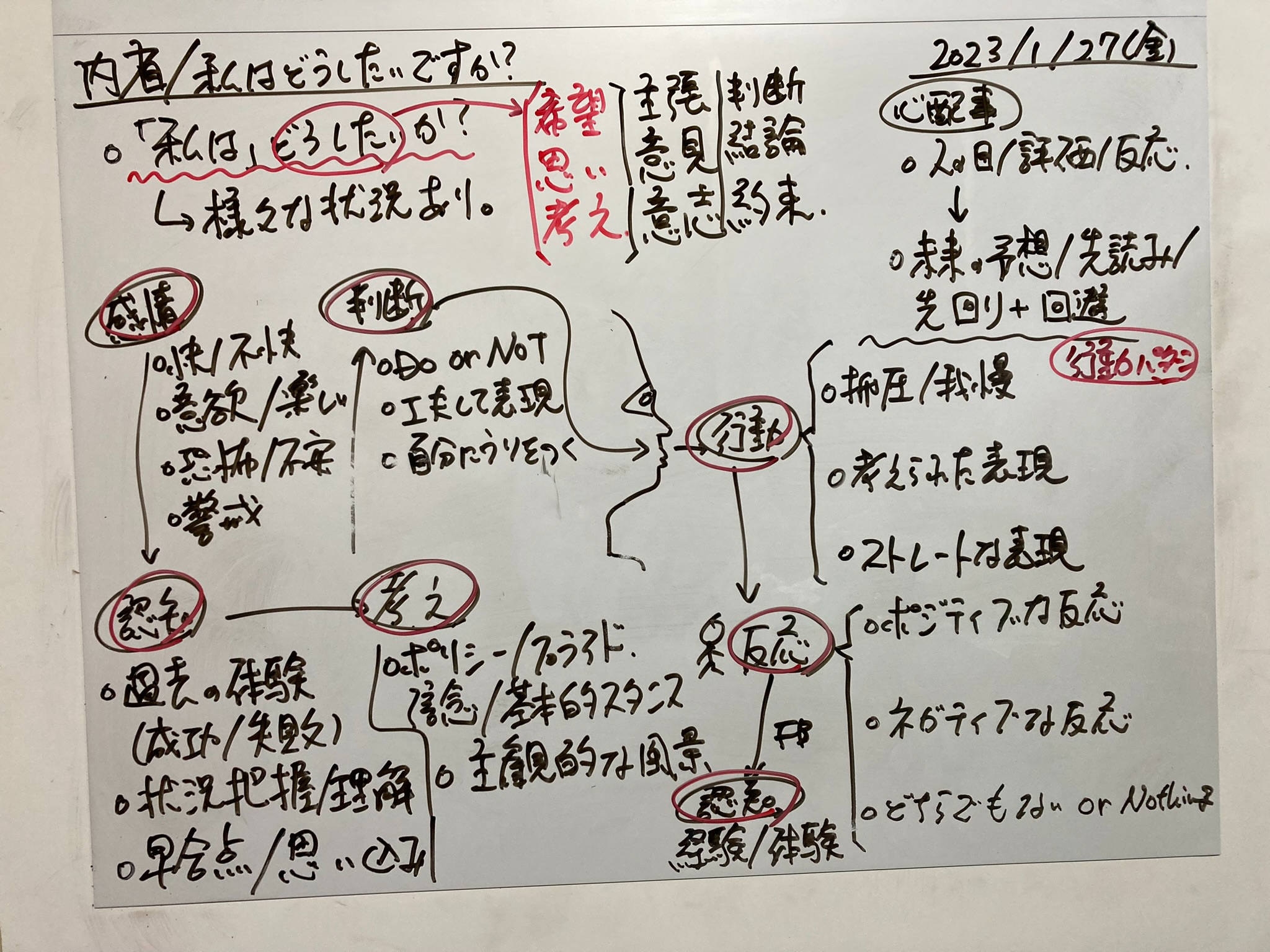 IMG_1059.jpeg