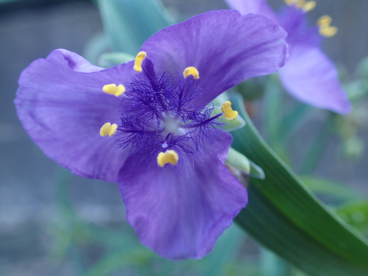 PA060348.JPG