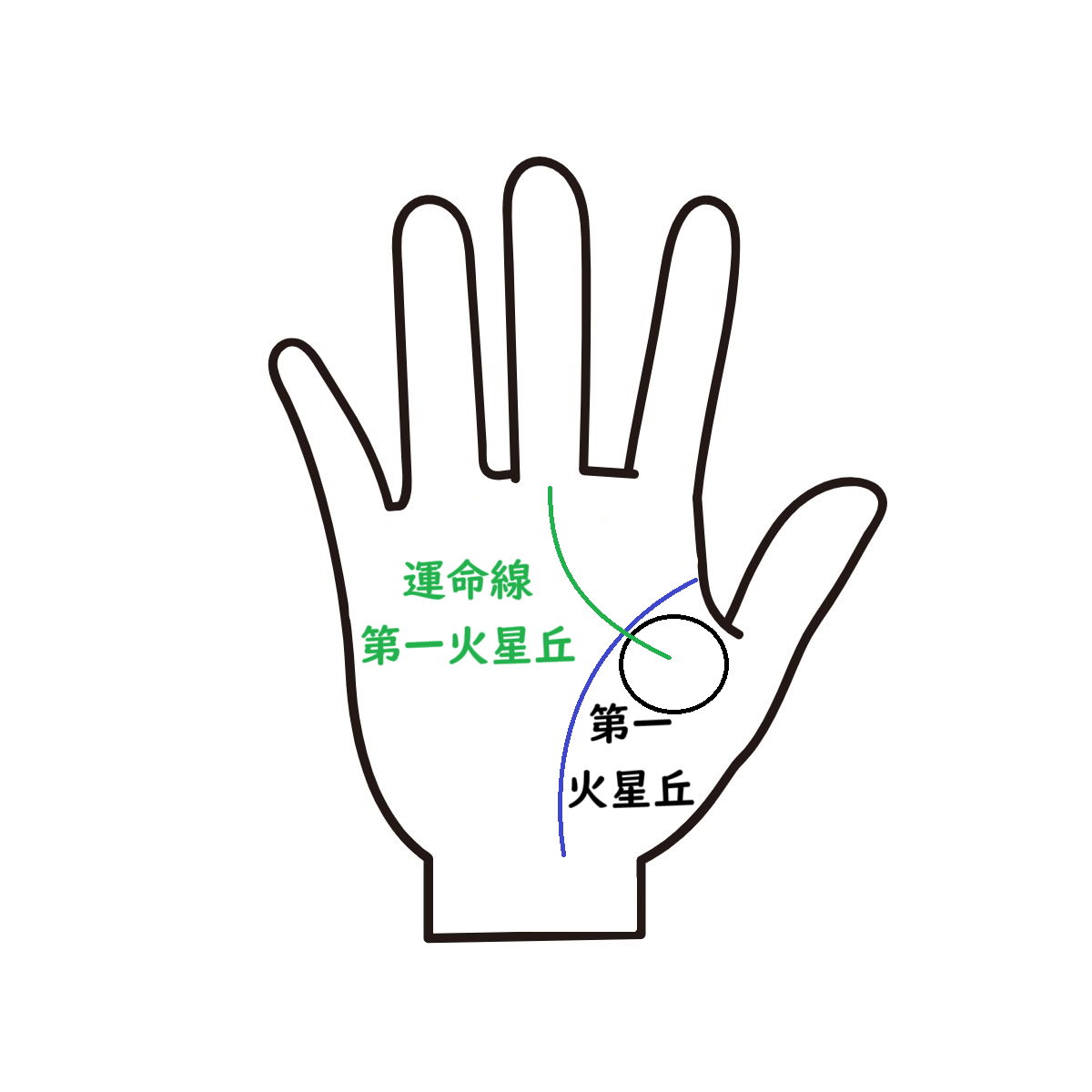 運命線　第一火星丘.png