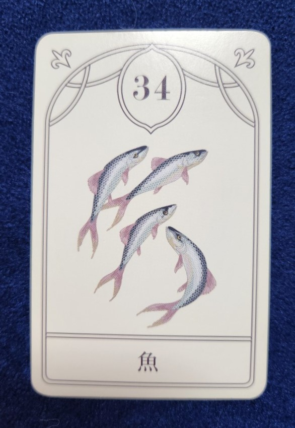 20230721_090046 (002).jpg