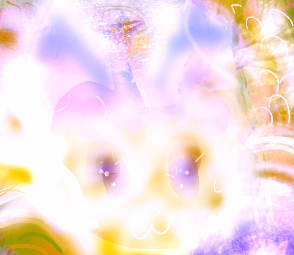 _20260213_082453222.JPG