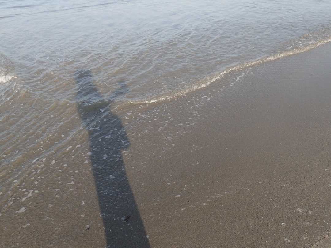P8110744.JPG