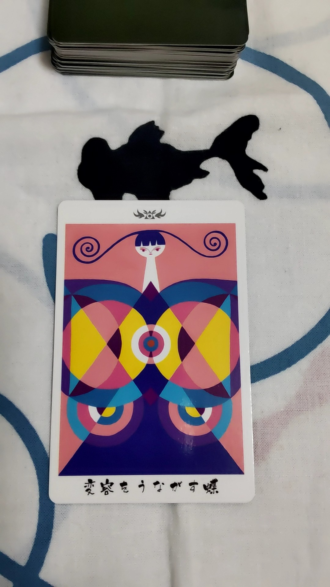 08013.jpg
